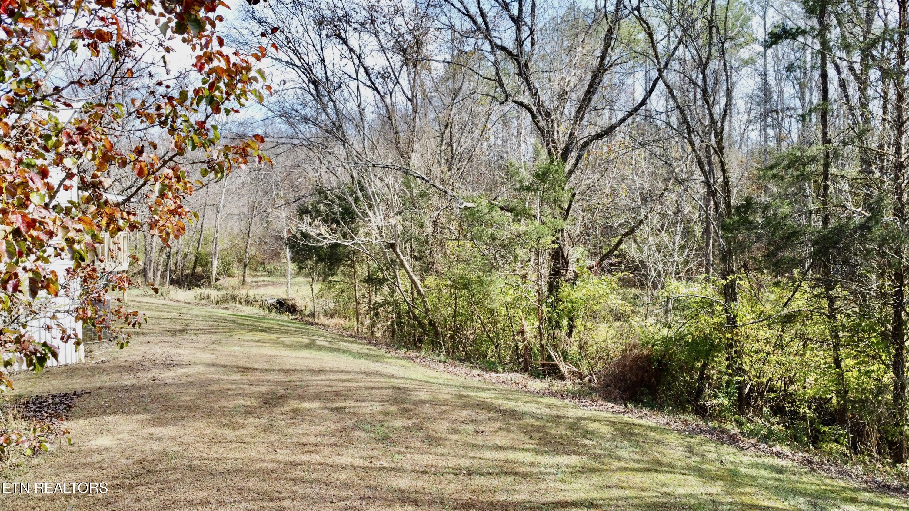 9202 Strawberry Plains Pike Strawberry Plains TN 37871