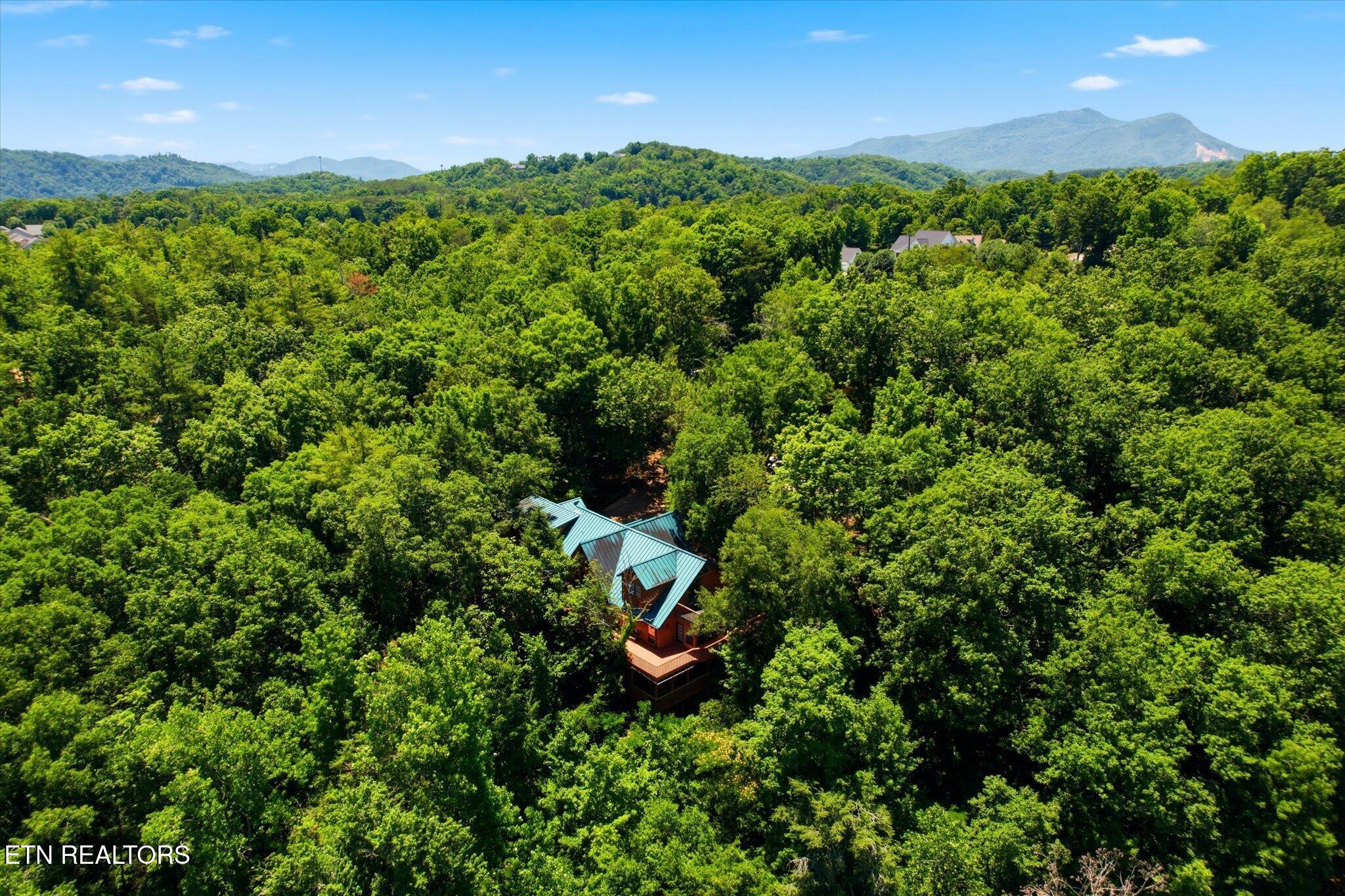 201 Clear Point Lane Pigeon Forge TN 37863