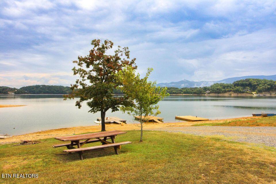 1680 Canal Lane Dandridge TN 37725