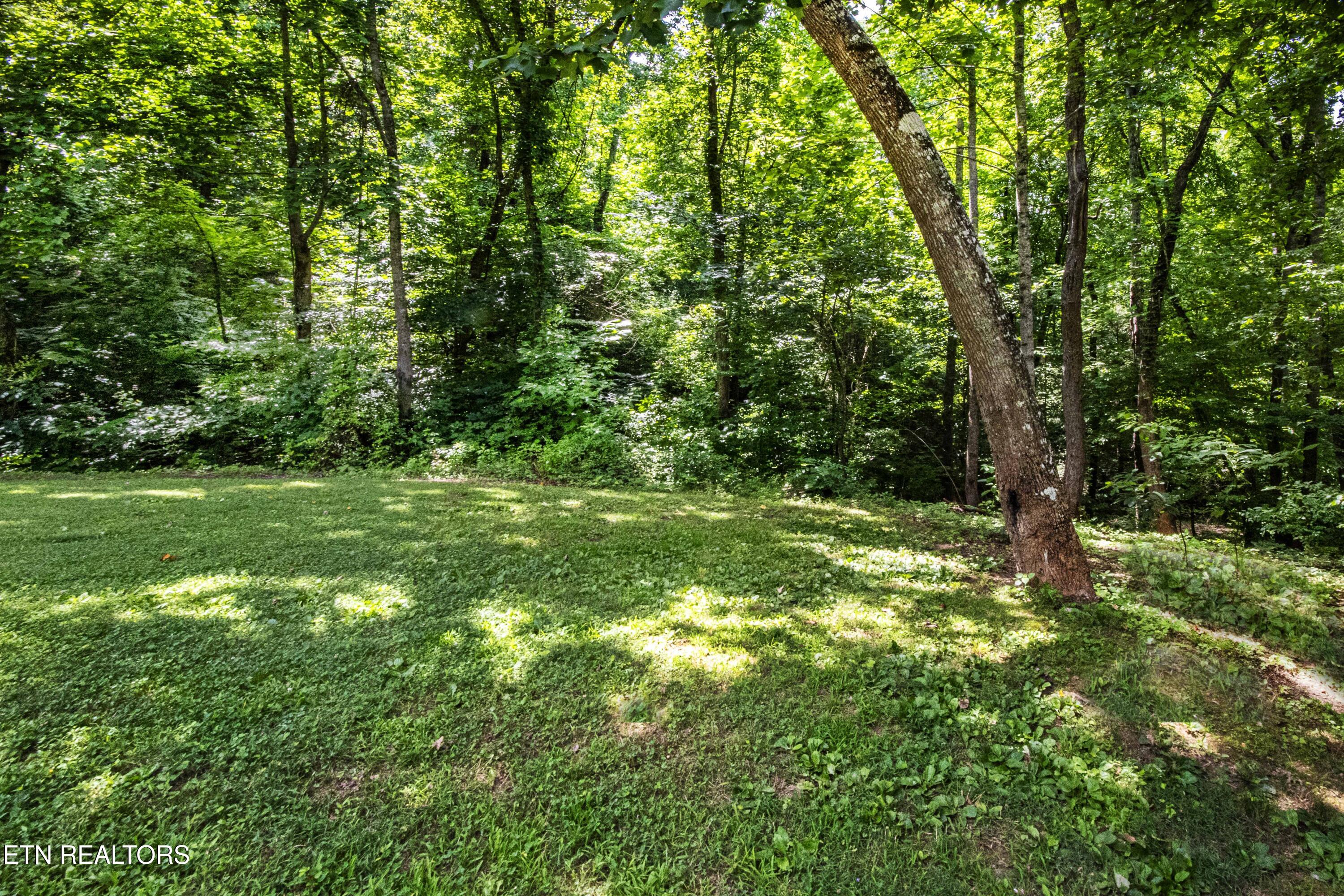 7880 Hickory Nut Way Maryville TN 37801