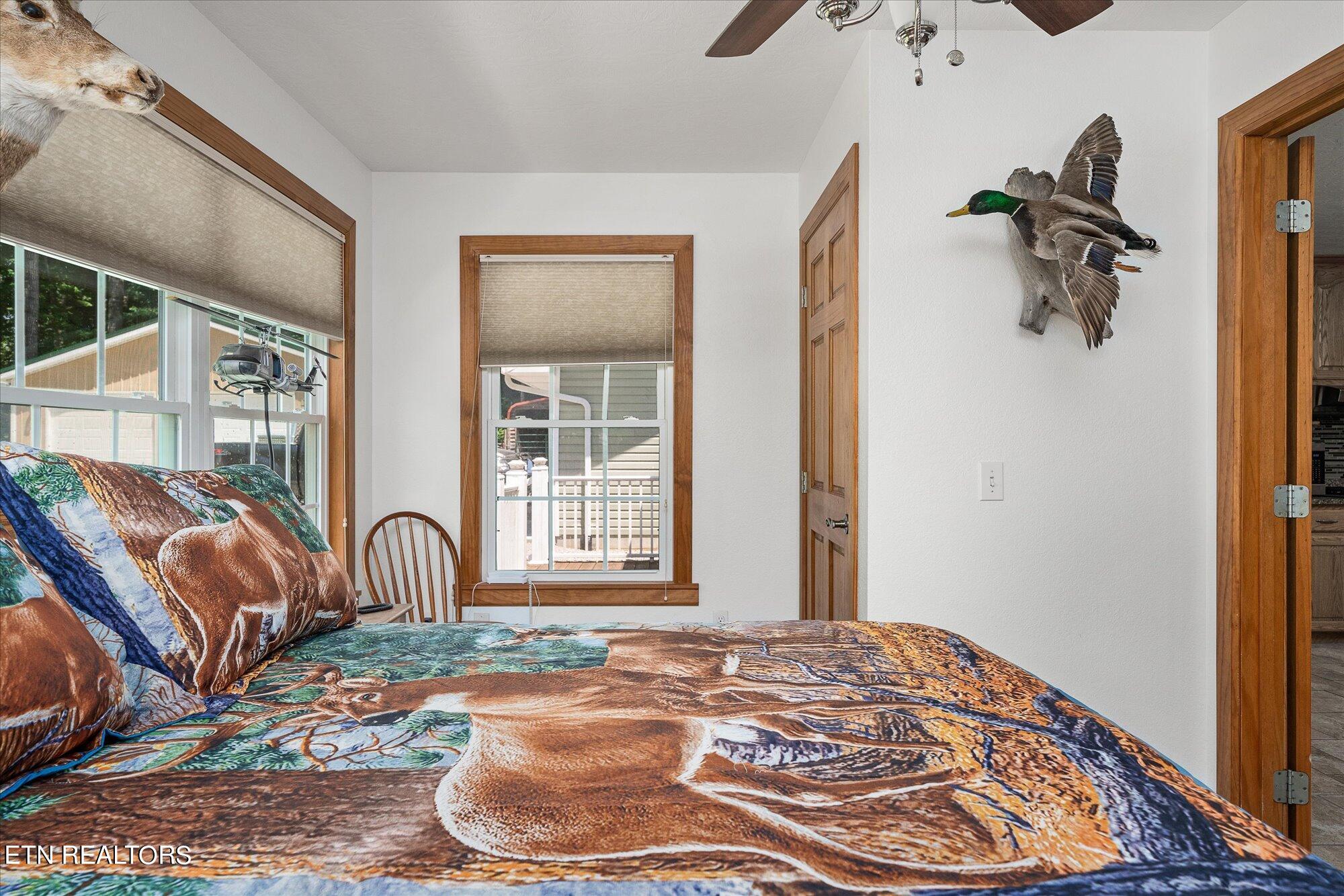 213 Indian Rock Trail Jamestown TN 38556