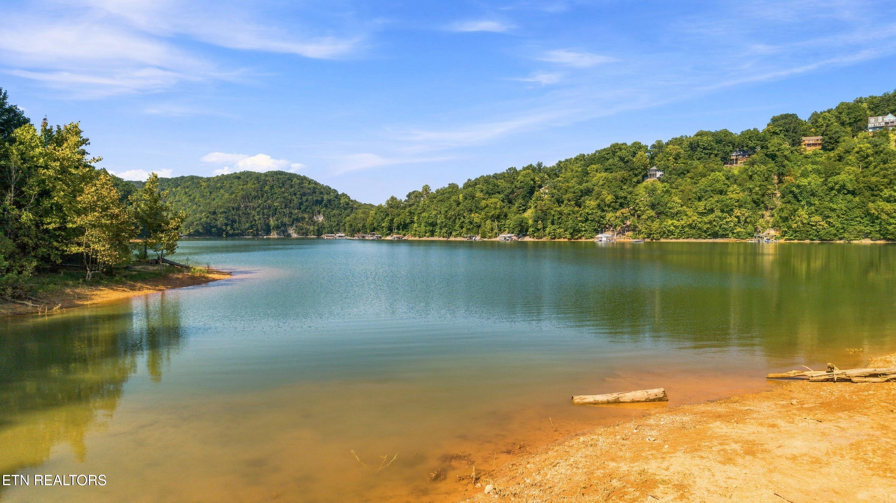 154 White Oak Lane Caryville TN 37714