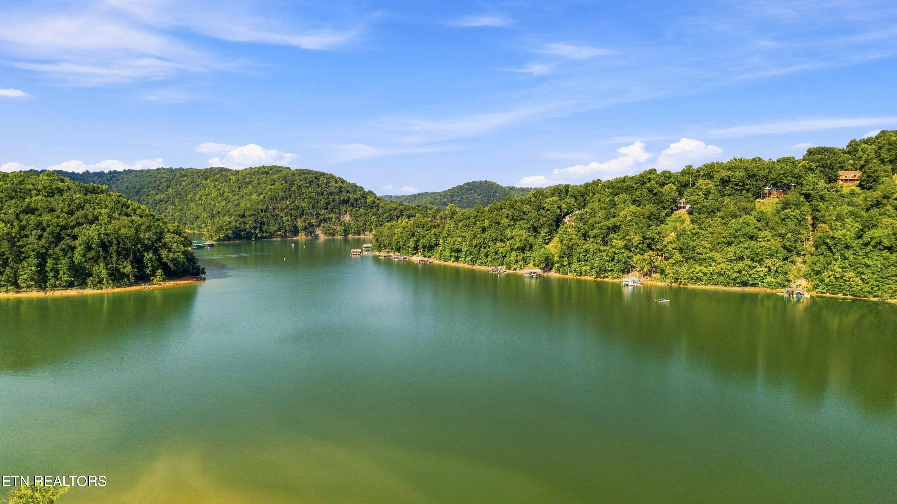 154 White Oak Lane Caryville TN 37714
