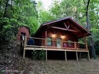 1695 Misty Hollow Way Gatlinburg TN 37738