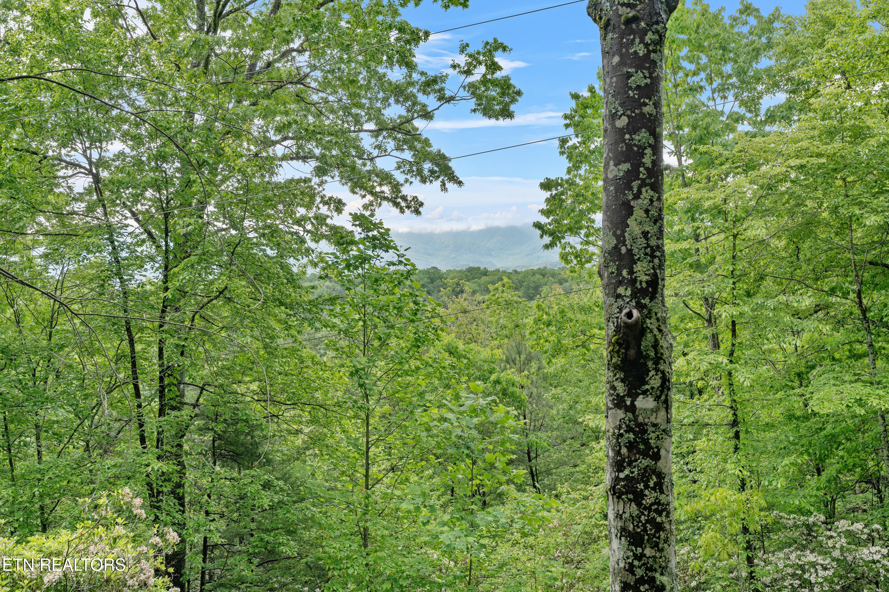 1695 Misty Hollow Way Gatlinburg TN 37738