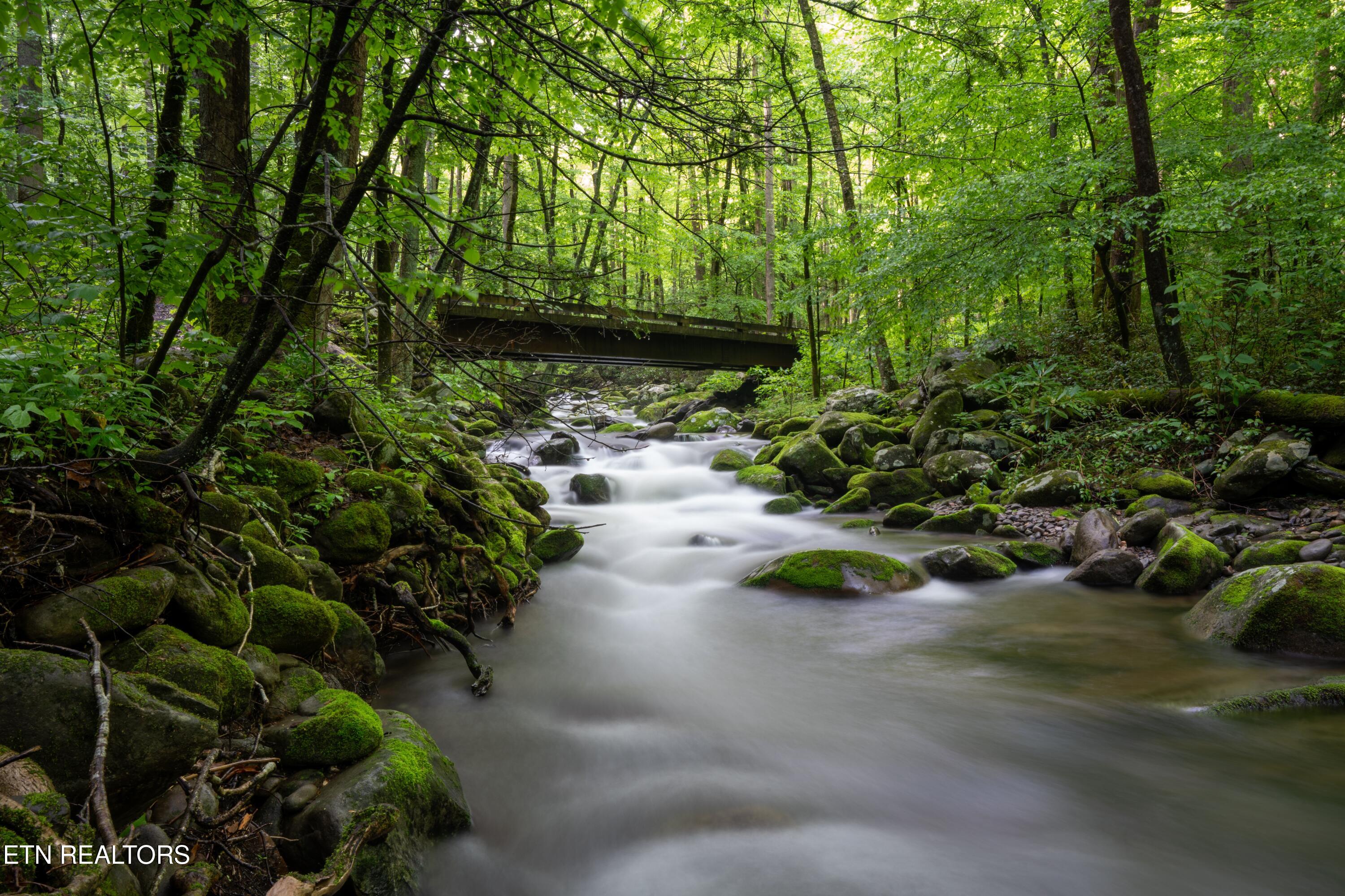 1695 Misty Hollow Way Gatlinburg TN 37738