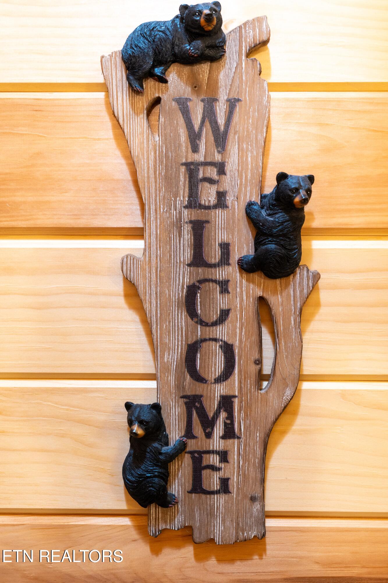 1695 Misty Hollow Way Gatlinburg TN 37738