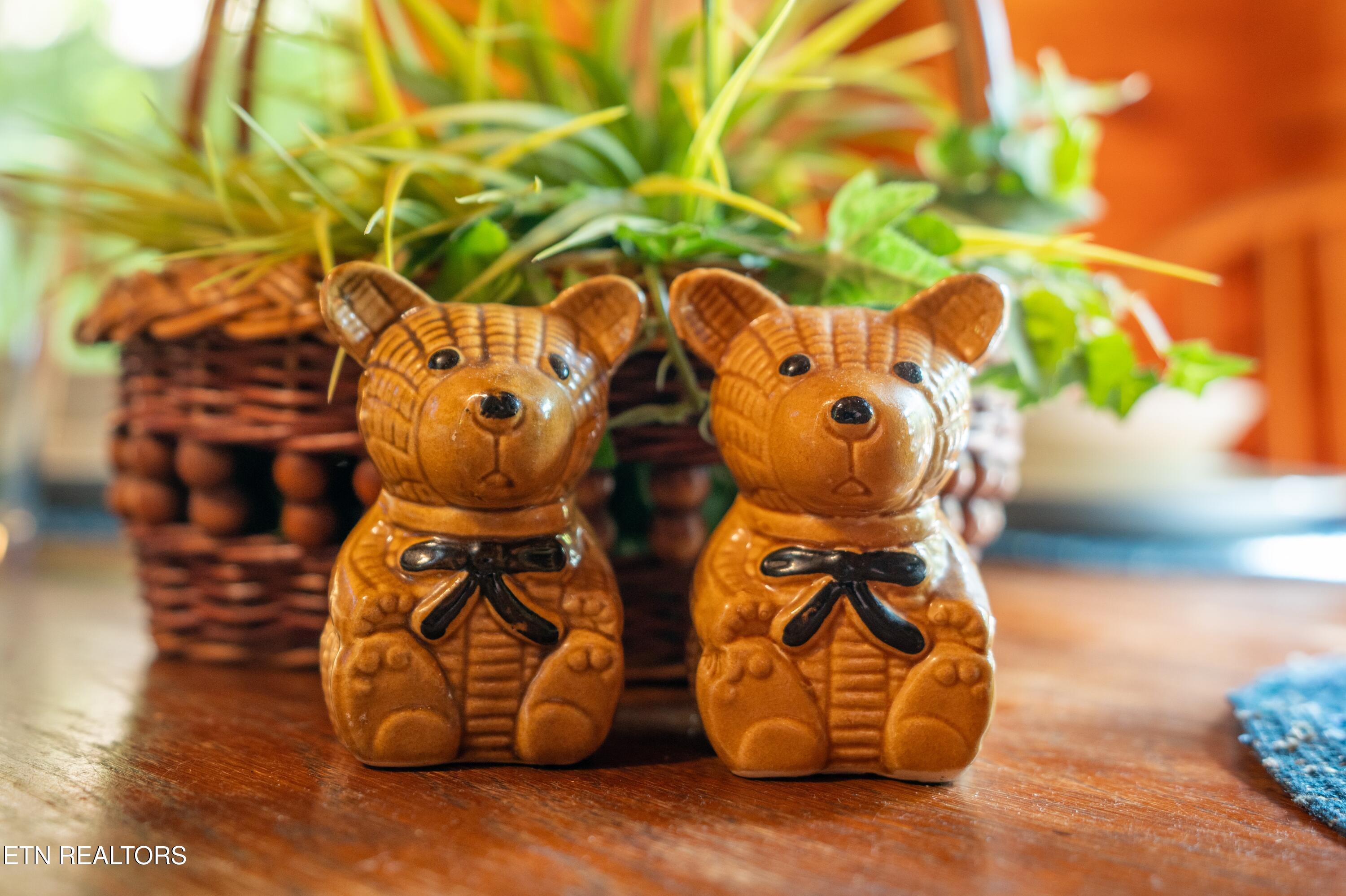 1695 Misty Hollow Way Gatlinburg TN 37738