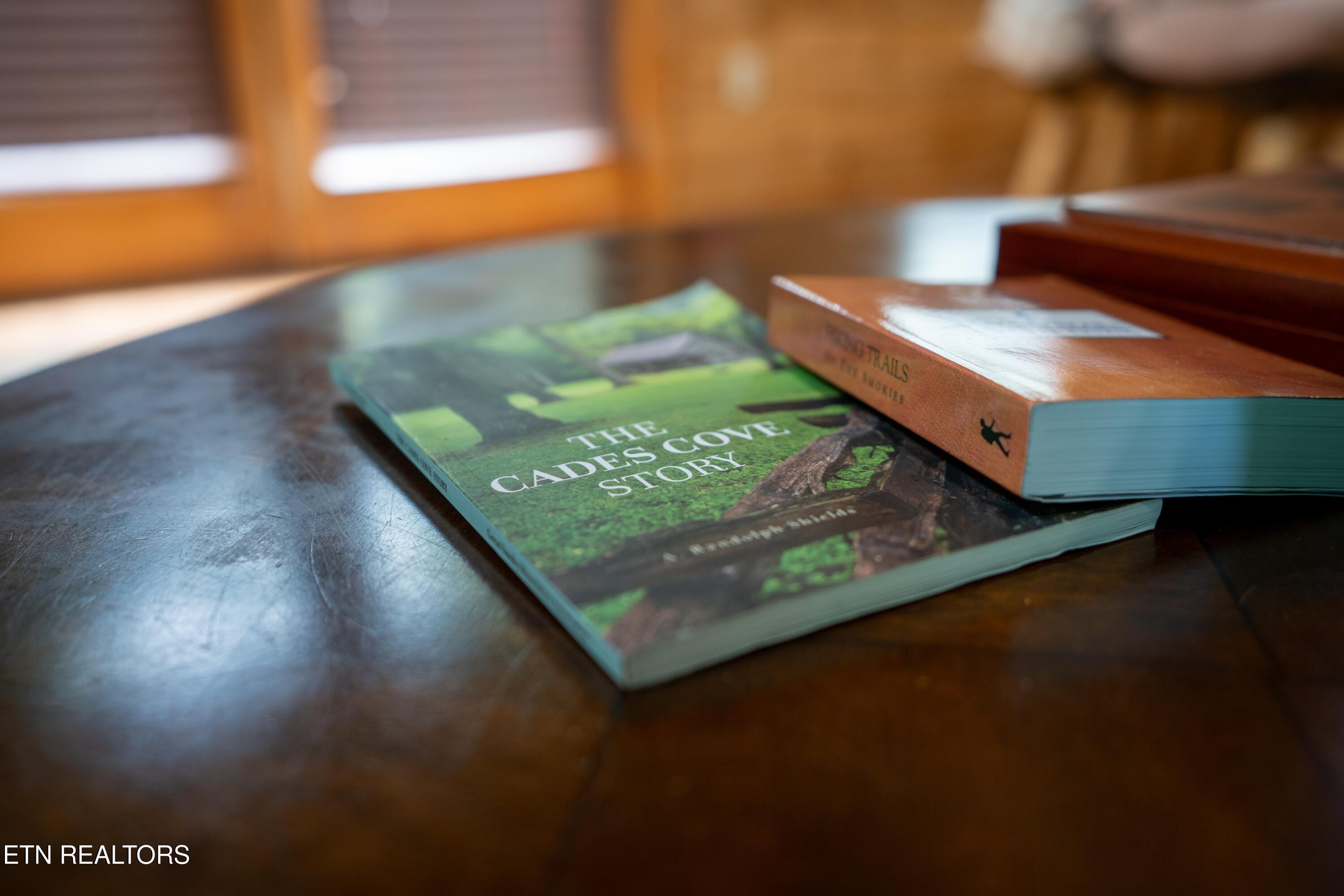 1695 Misty Hollow Way Gatlinburg TN 37738