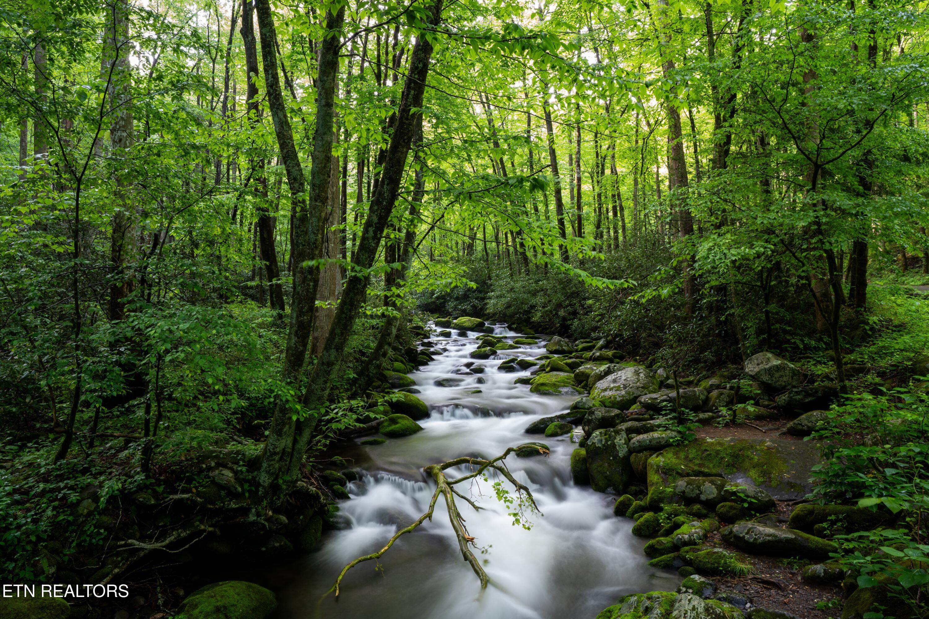 1695 Misty Hollow Way Gatlinburg TN 37738