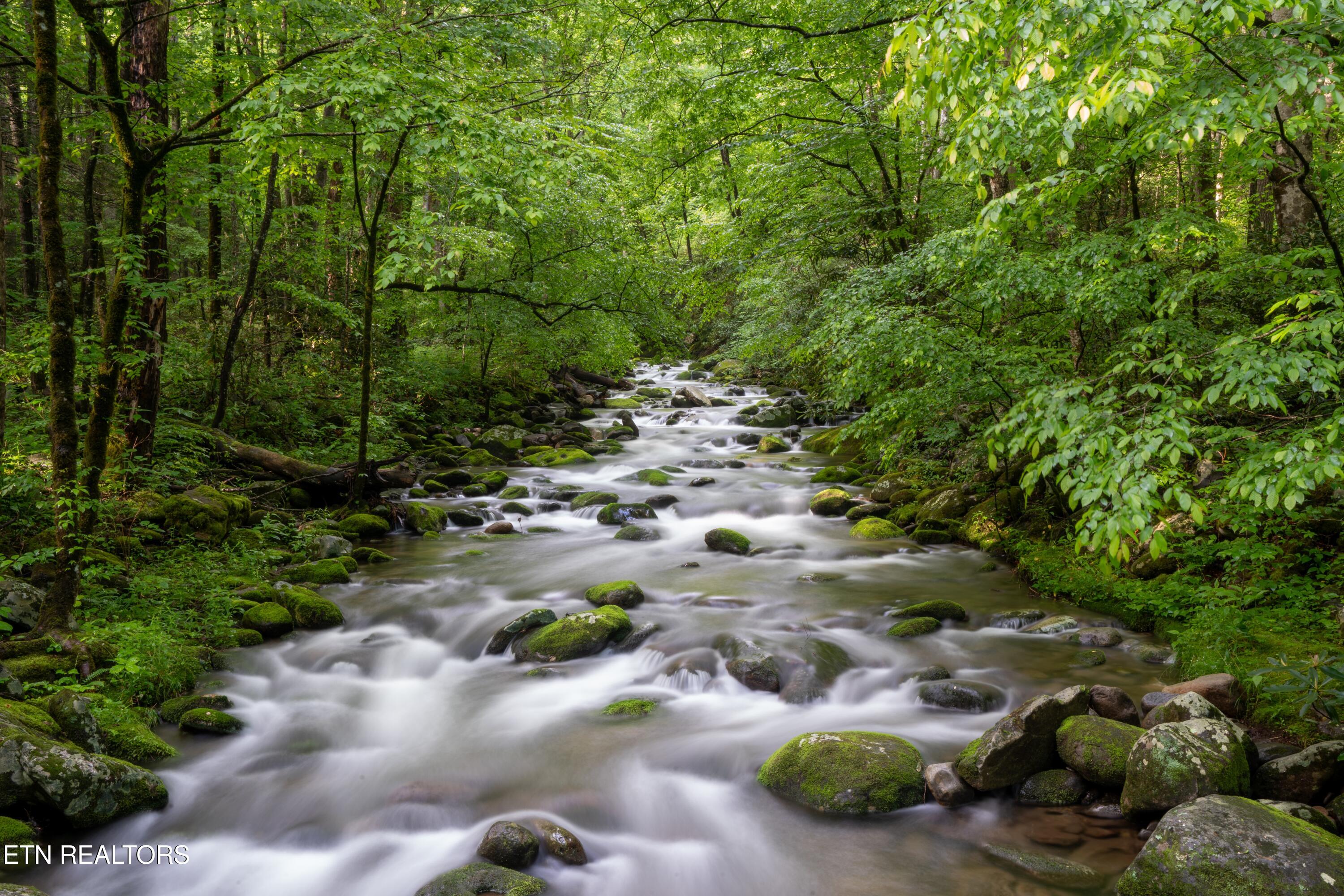 1695 Misty Hollow Way Gatlinburg TN 37738