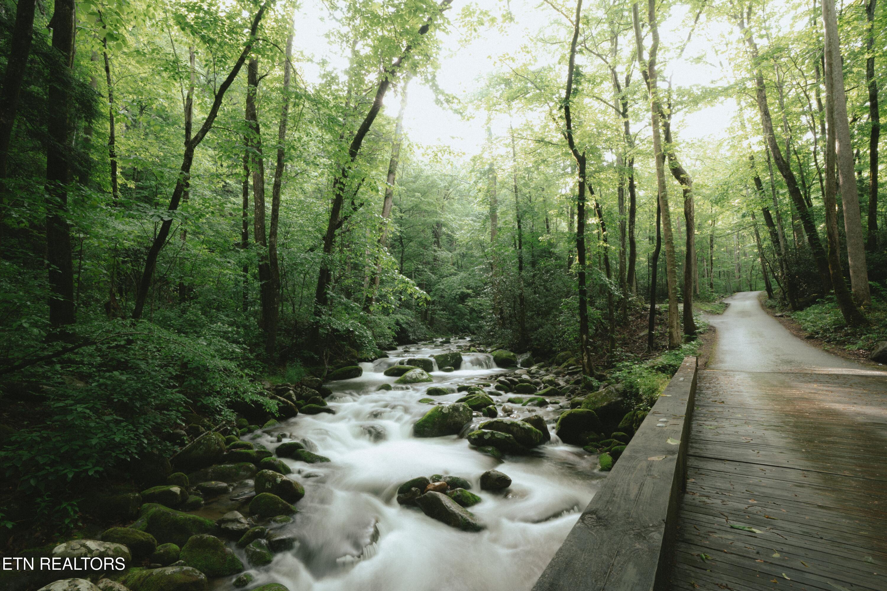 1695 Misty Hollow Way Gatlinburg TN 37738