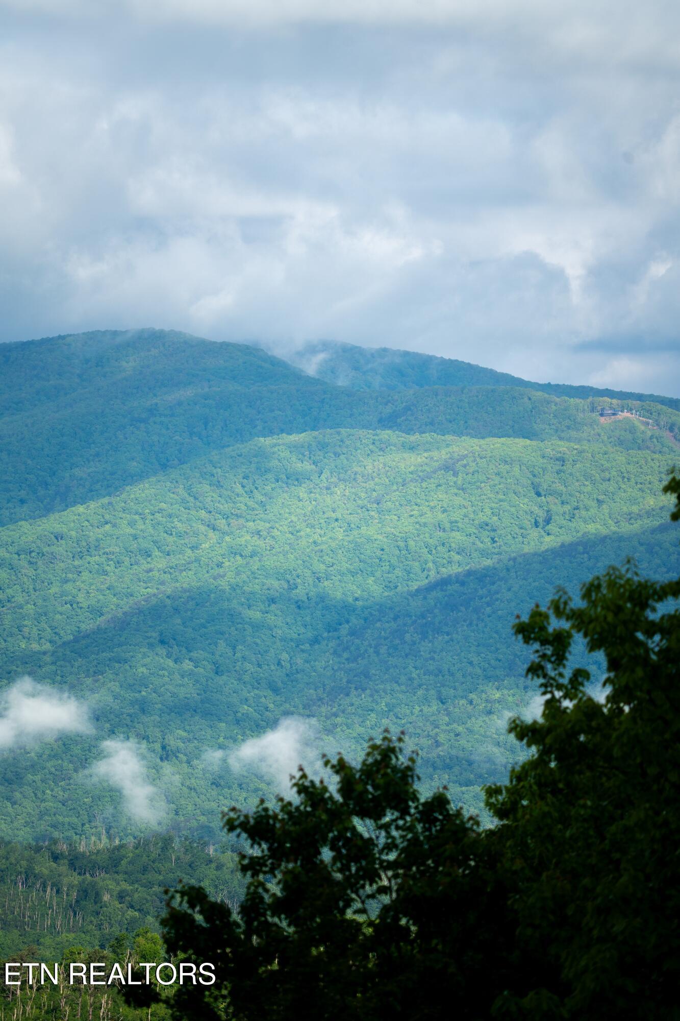 1695 Misty Hollow Way Gatlinburg TN 37738