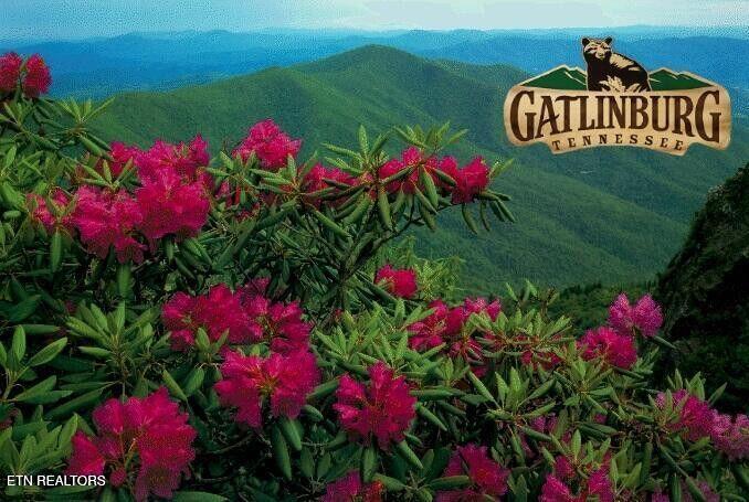 1695 Misty Hollow Way Gatlinburg TN 37738