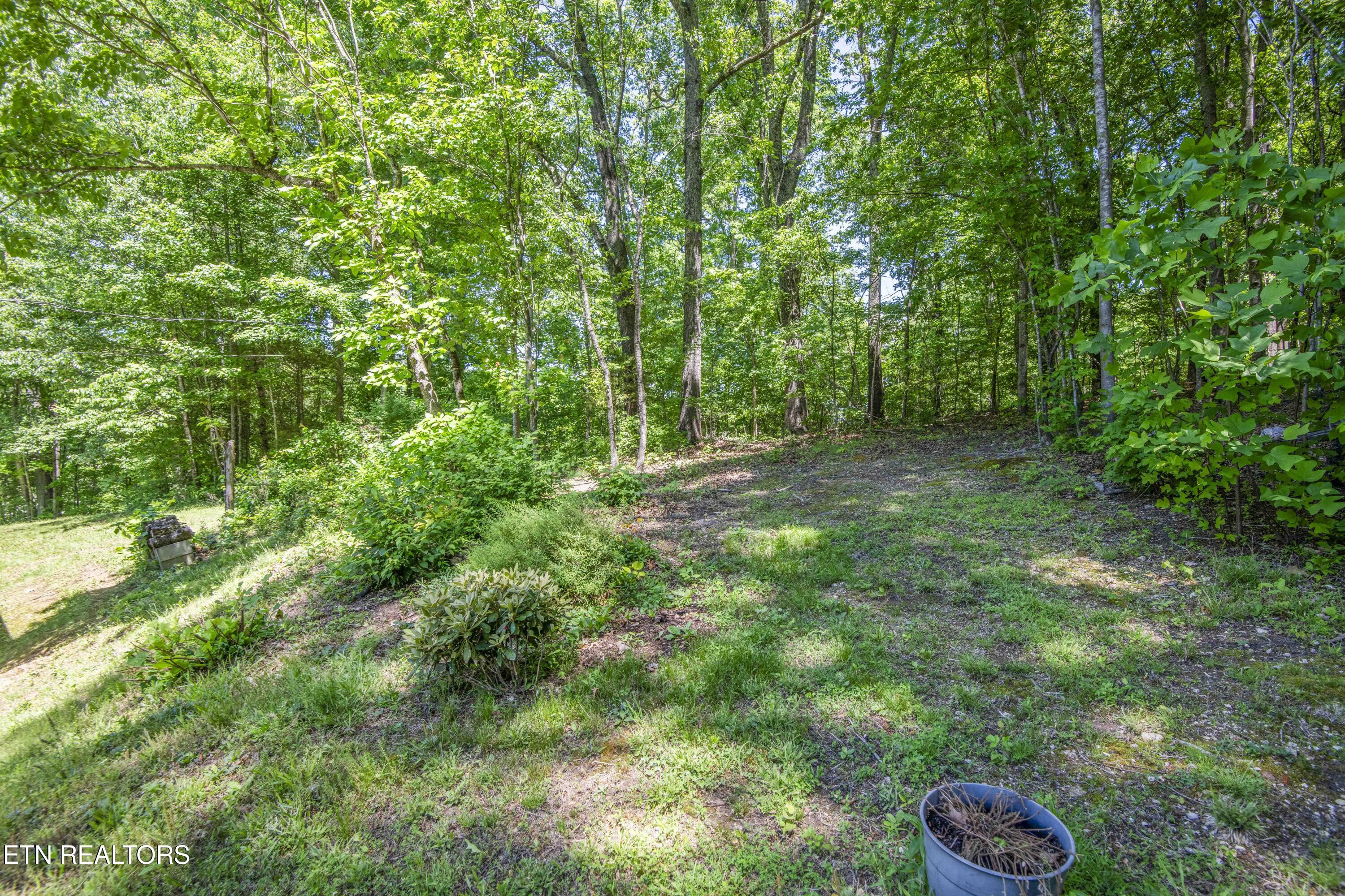 116 Stair Lane Clinton TN 37716