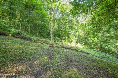 3110 Rifle Range Drive Knoxville TN 37918