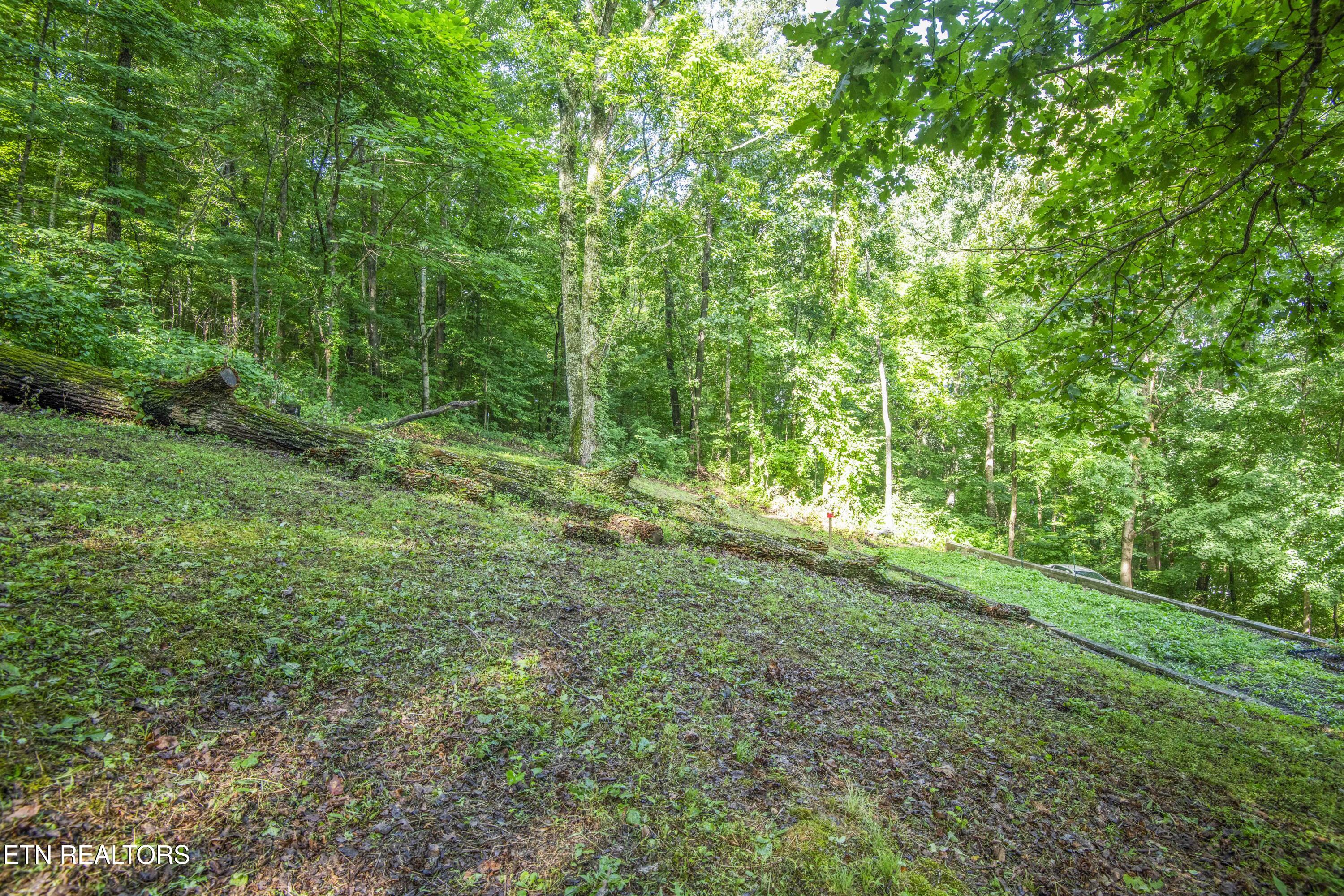 3110 Rifle Range Drive Knoxville TN 37918