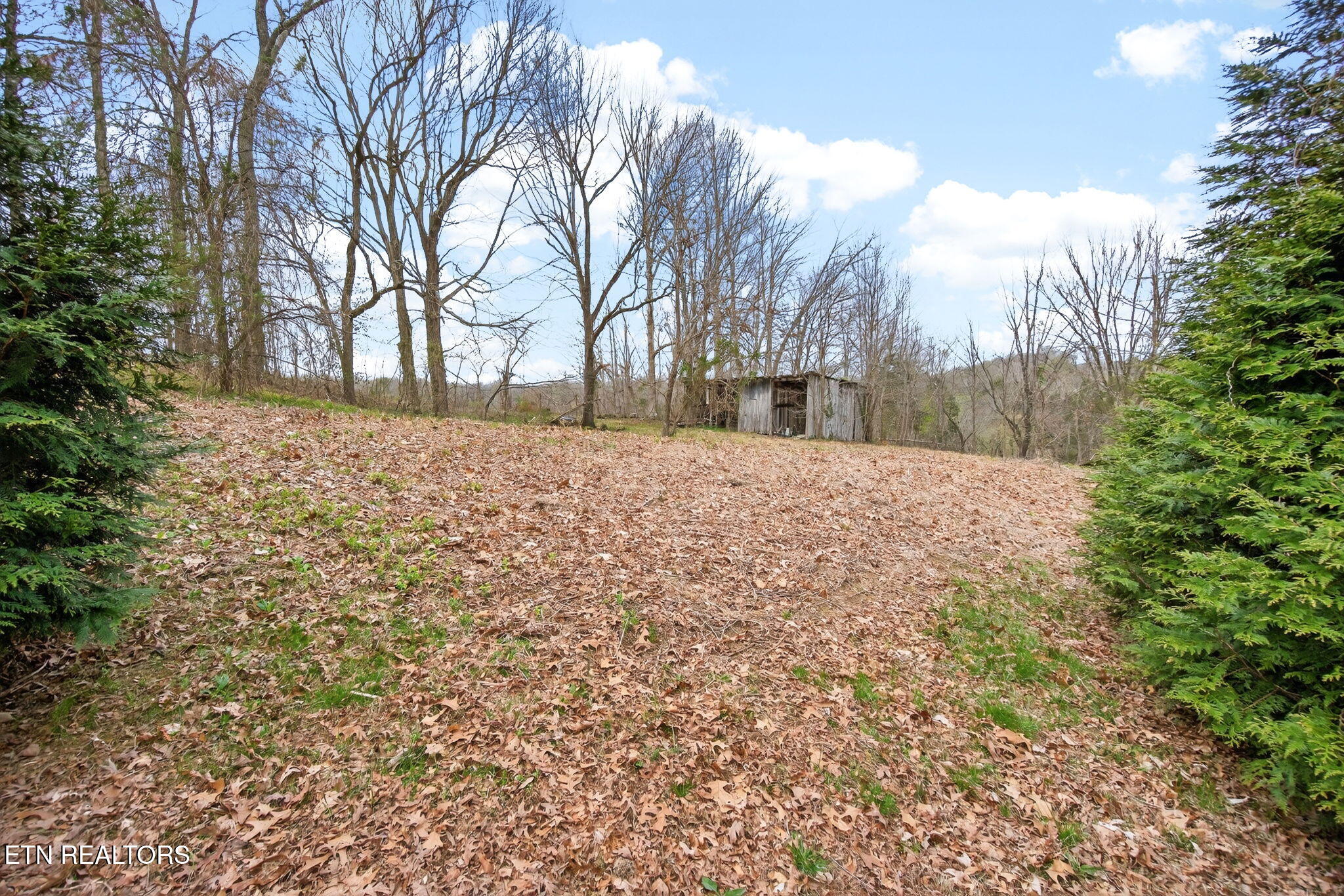 314 Smyrna Road Byrdstown TN 38549