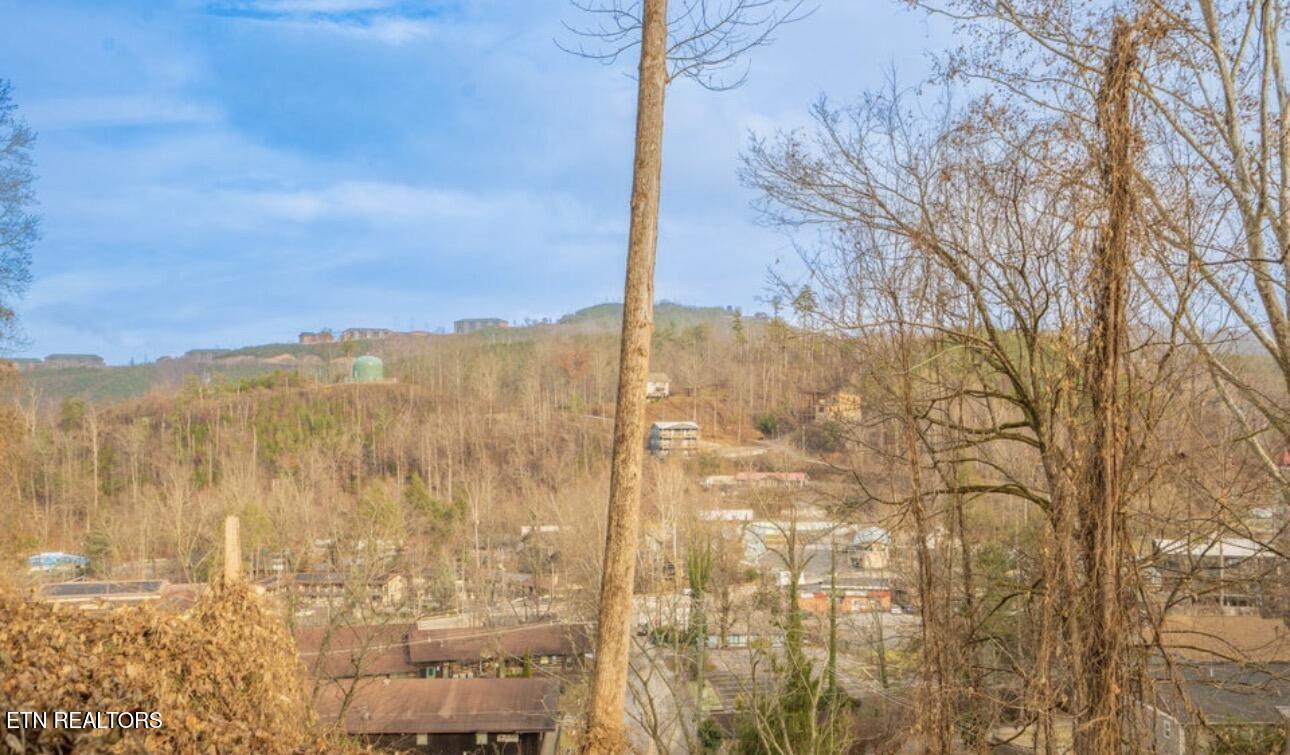 230 Silverbell Lane Gatlinburg TN 37738
