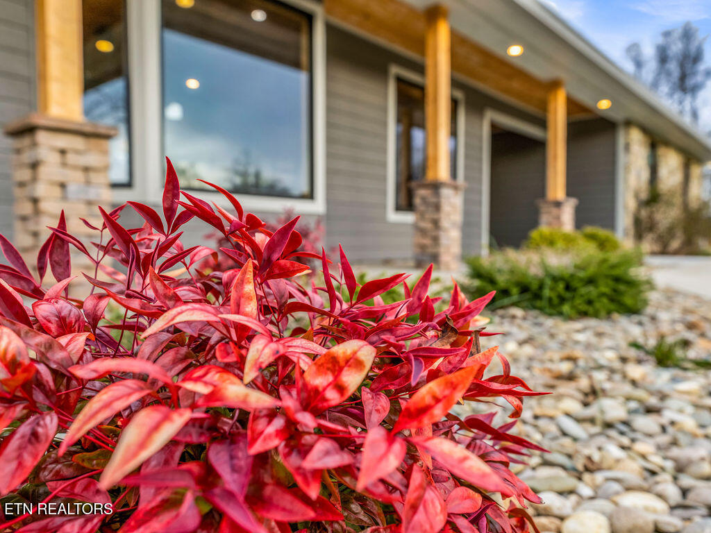 1271 Whitaker Road New Market TN 37820