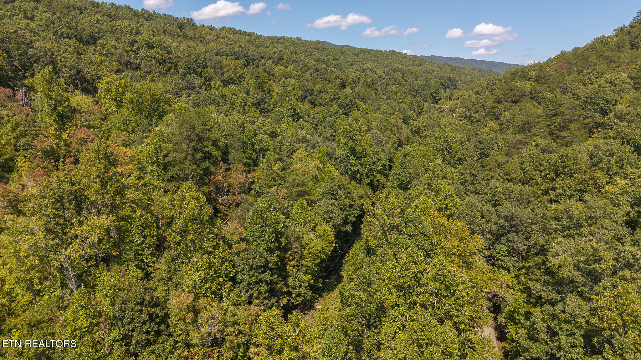 997 Miller Hollow Road Bean Station TN 37708