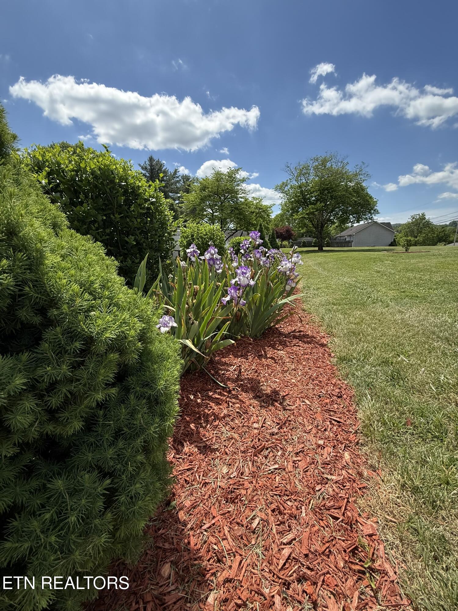 155 Valley View Road Lafollette TN 37766