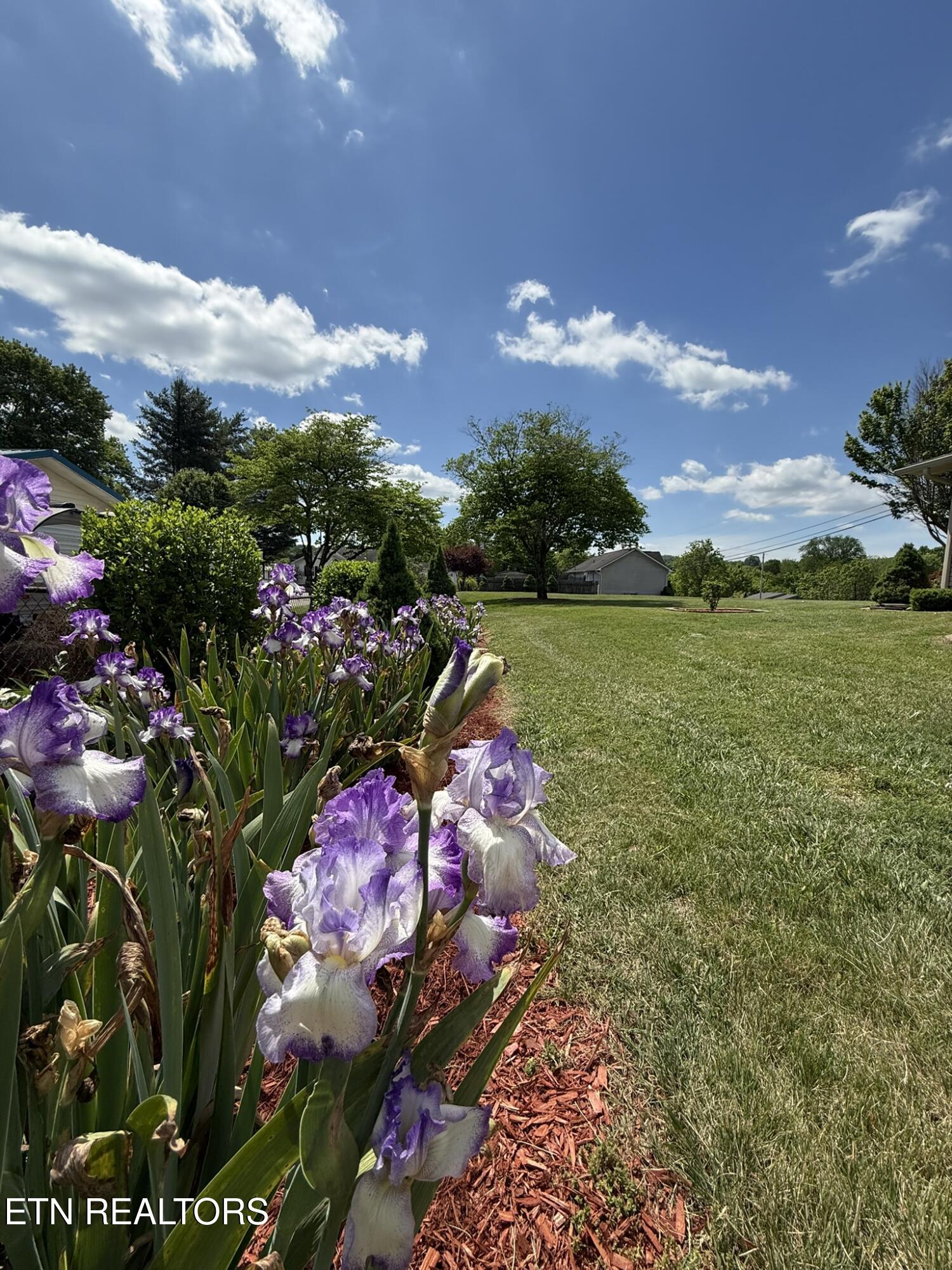 155 Valley View Road Lafollette TN 37766