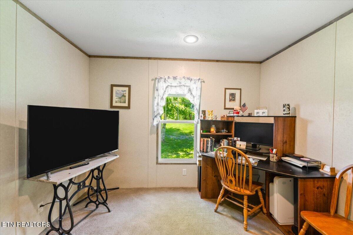 387 Price Drive Speedwell TN 37870