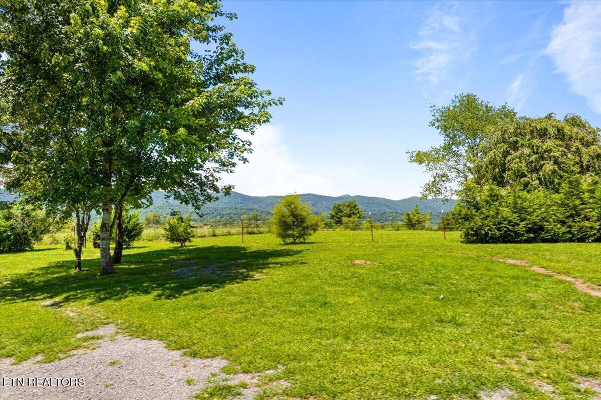 387 Price Drive Speedwell TN 37870