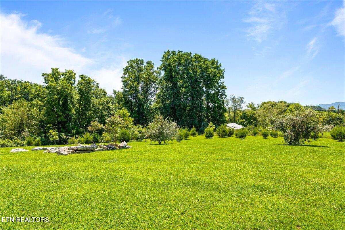 387 Price Drive Speedwell TN 37870