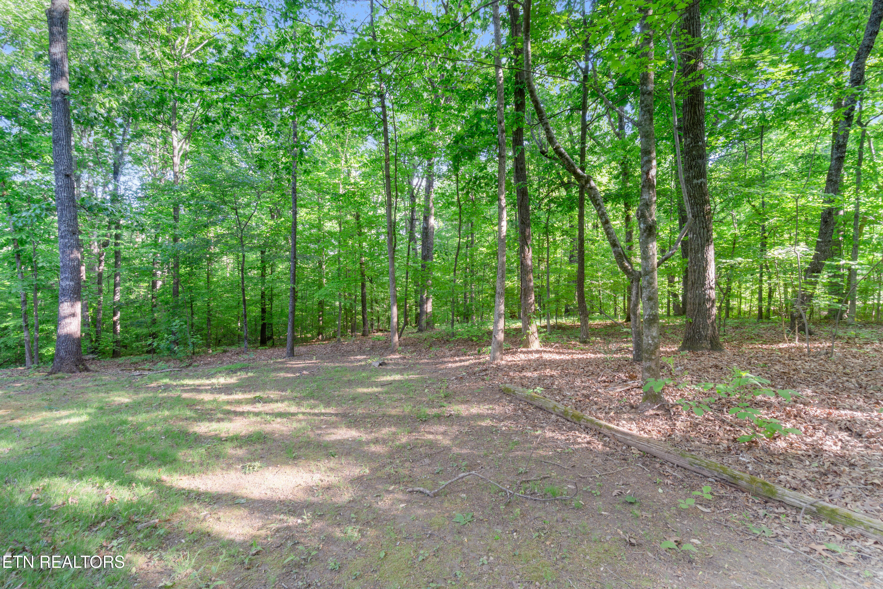 161 County Road 574 Englewood TN 37329