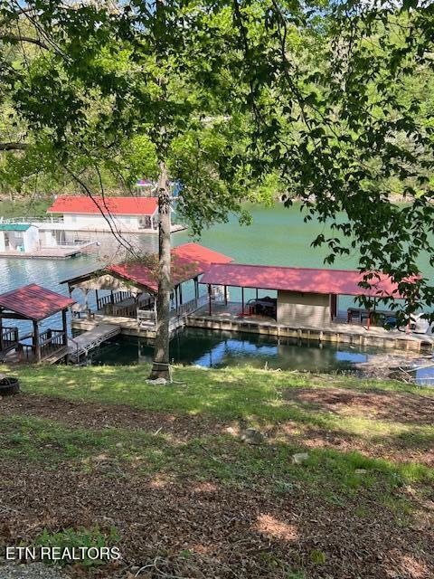 339 Flat Hollow Marina Road Speedwell TN 37870