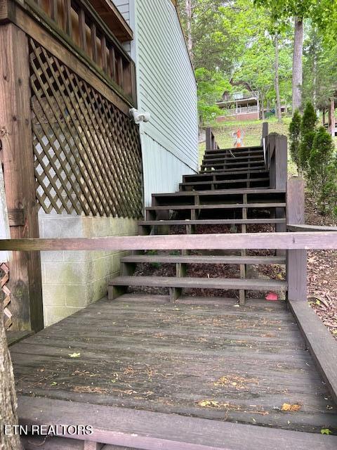 339 Flat Hollow Marina Road Speedwell TN 37870