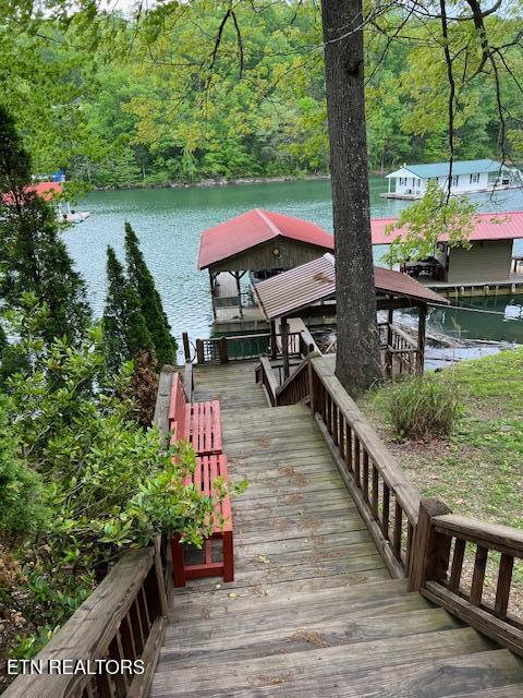 339 Flat Hollow Marina Road Speedwell TN 37870