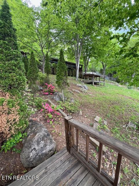 339 Flat Hollow Marina Road Speedwell TN 37870