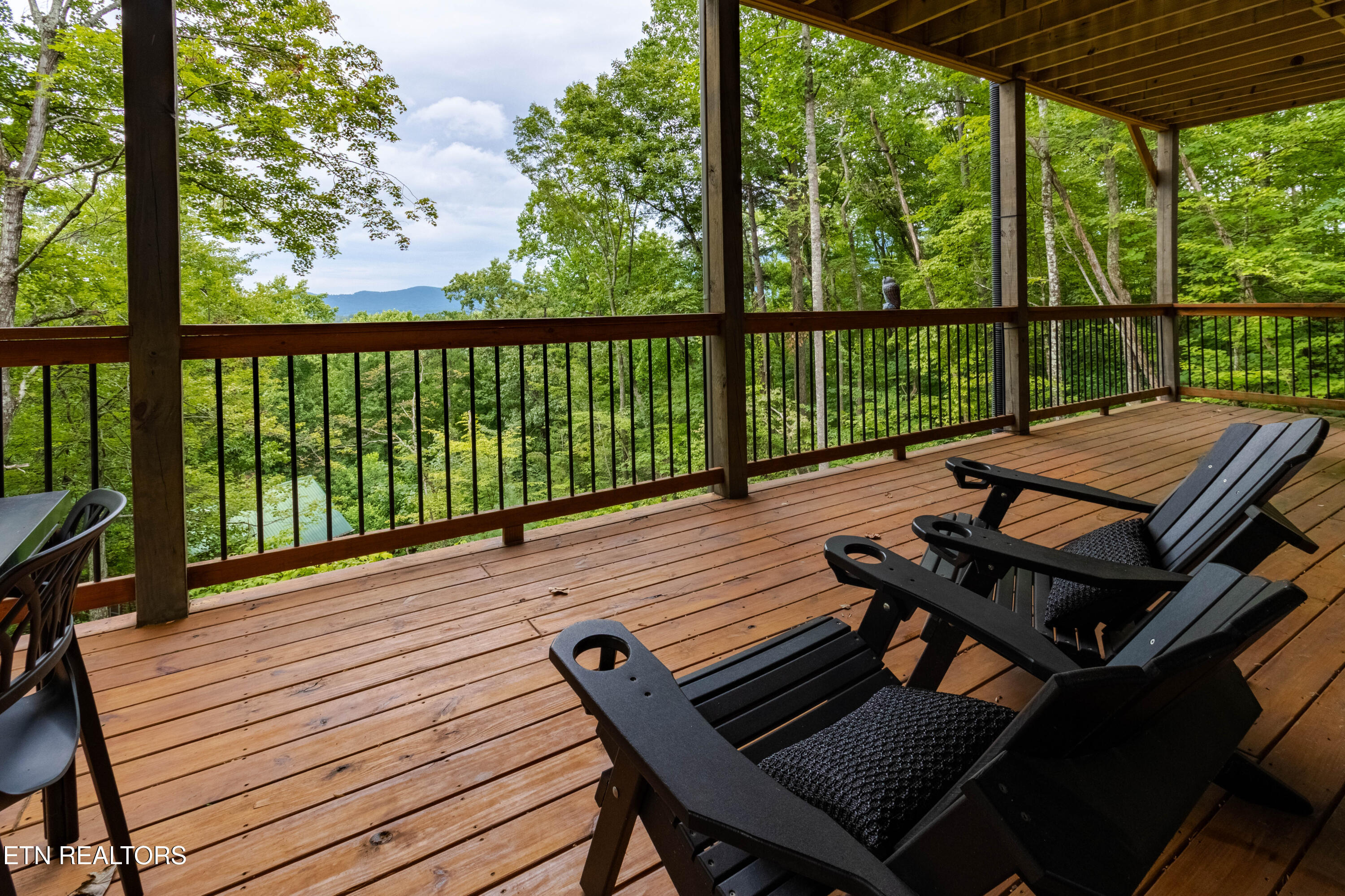4163 Burning Tree Lane Sevierville TN 37862