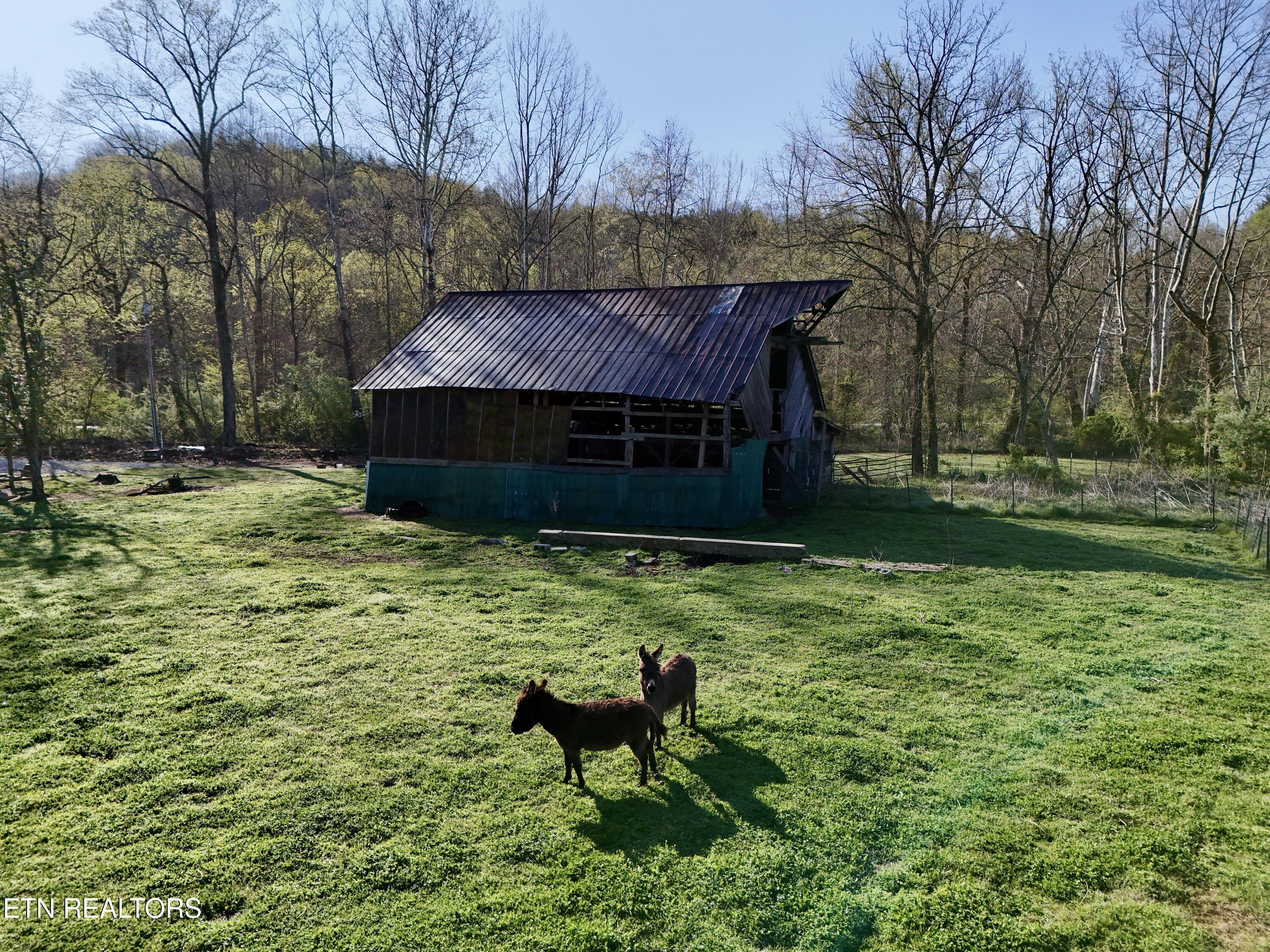 5640 Brimstone Road Robbins TN 37852