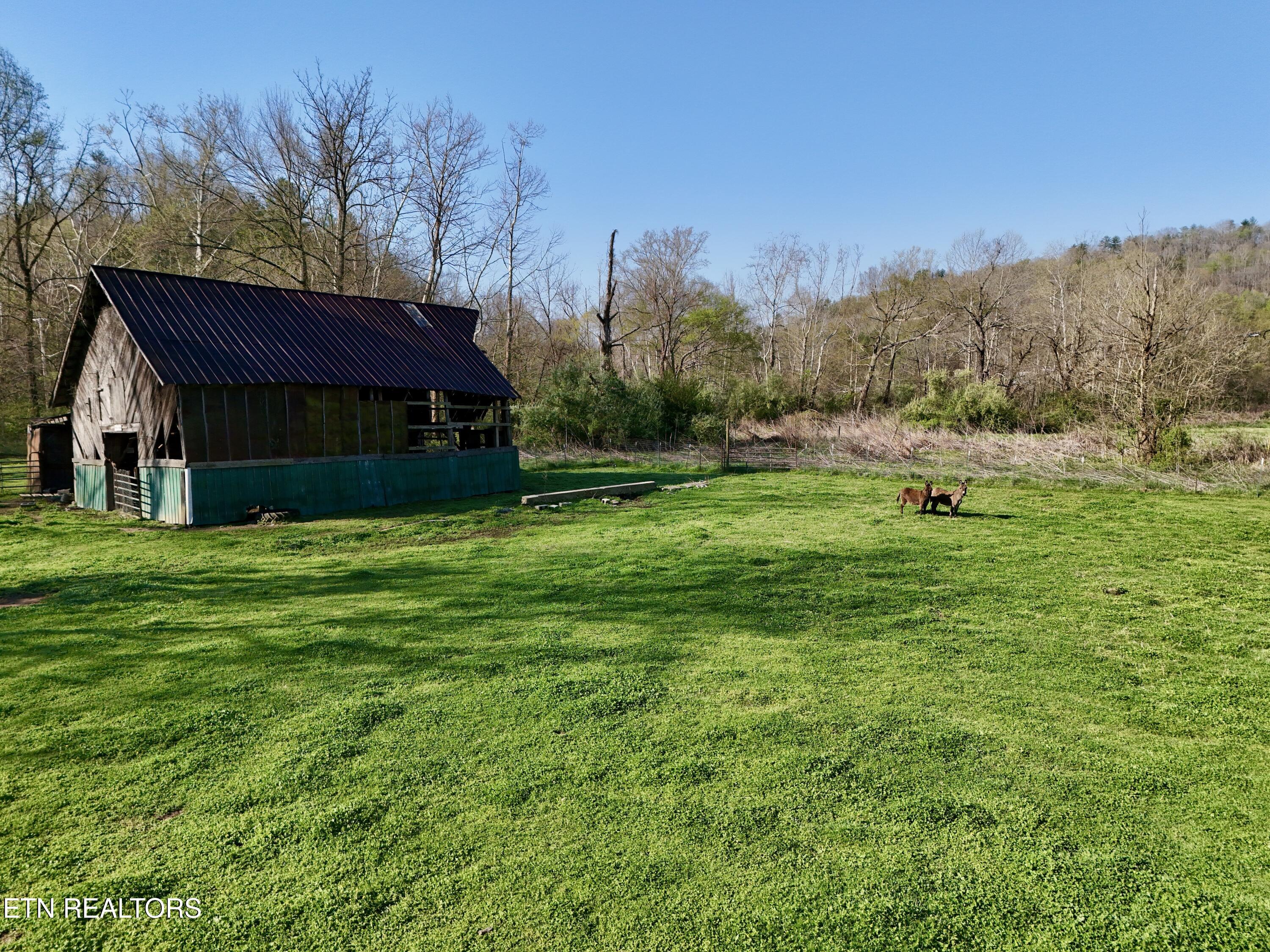 5640 Brimstone Road Robbins TN 37852