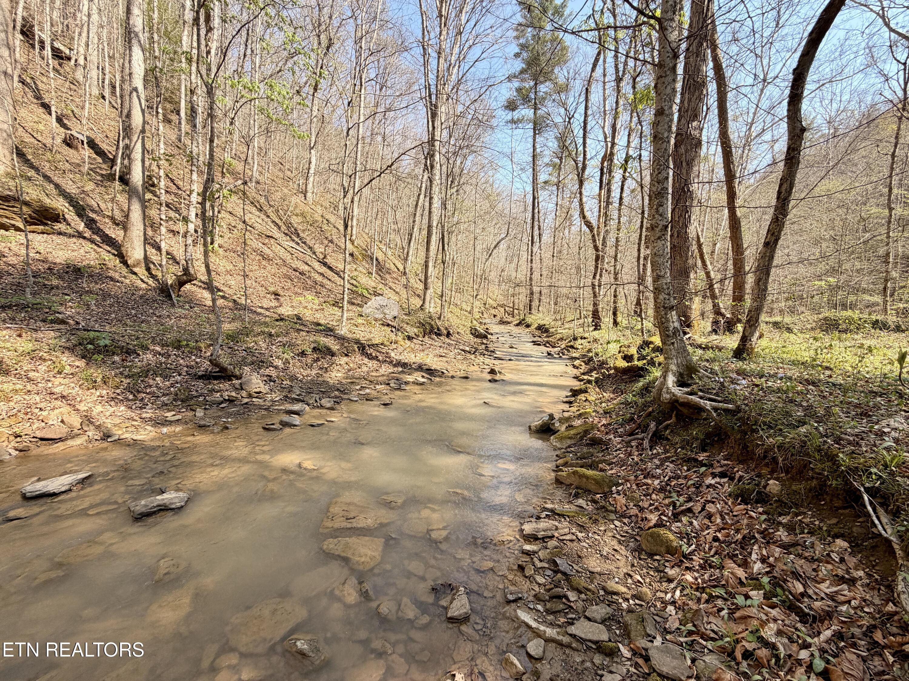 5640 Brimstone Road Robbins TN 37852