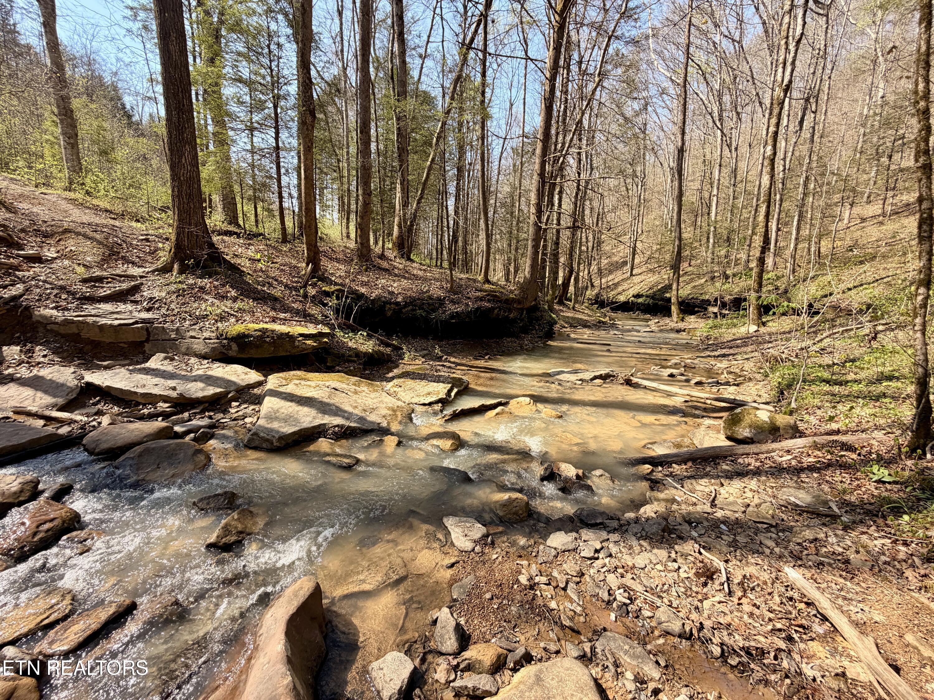 5640 Brimstone Road Robbins TN 37852