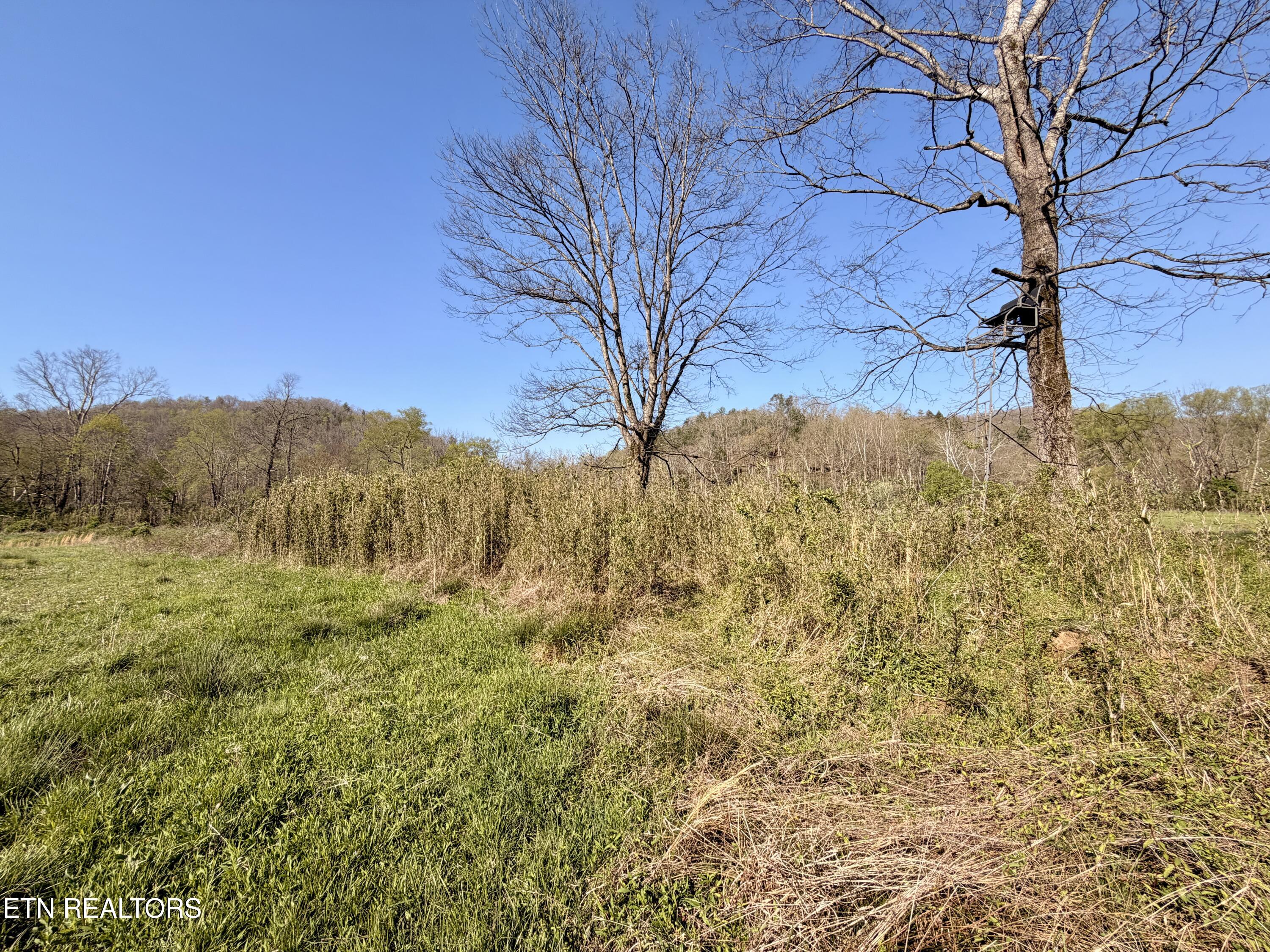 5640 Brimstone Road Robbins TN 37852