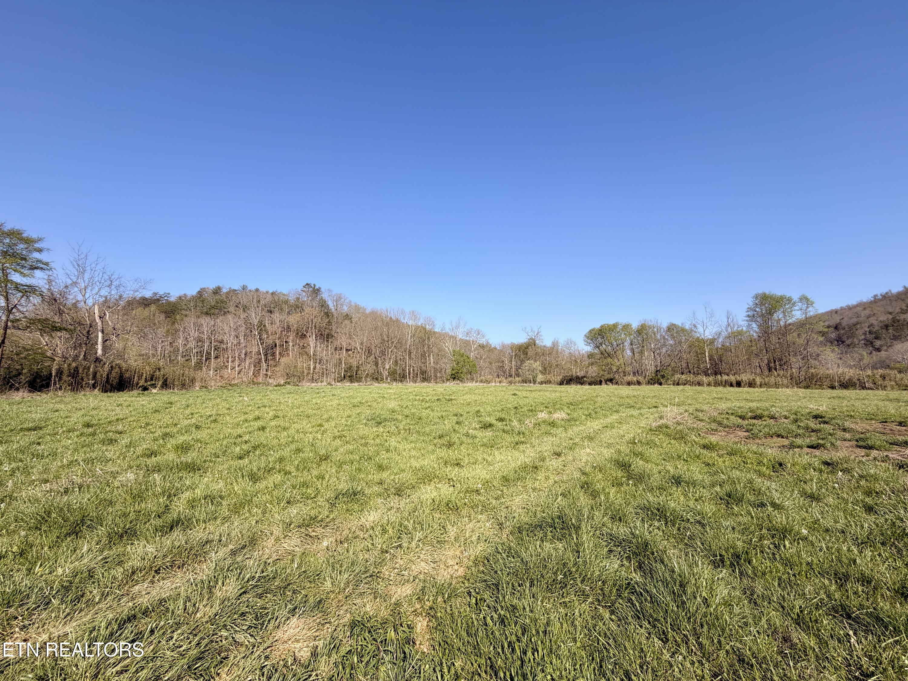 5640 Brimstone Road Robbins TN 37852