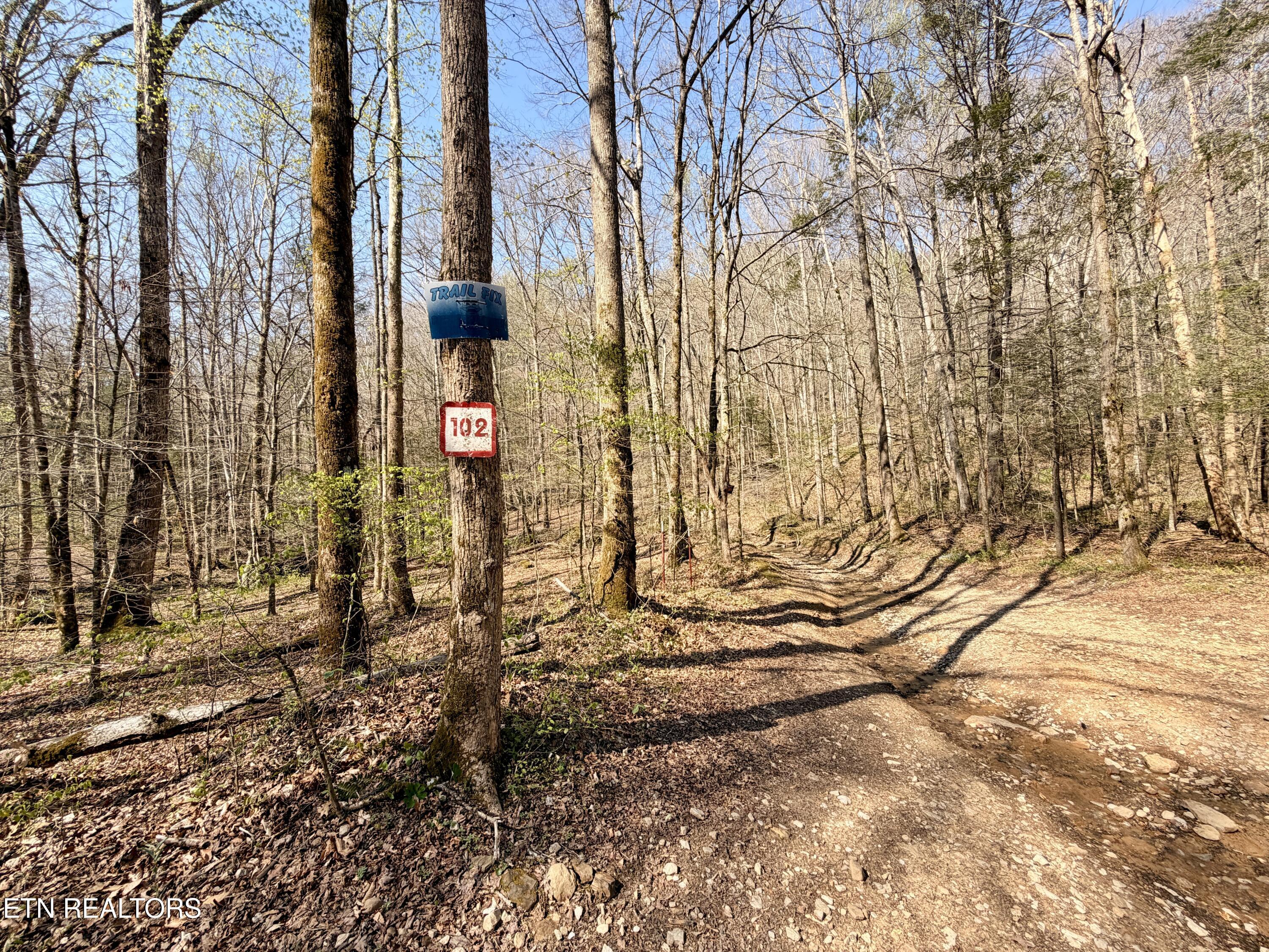 5640 Brimstone Road Robbins TN 37852