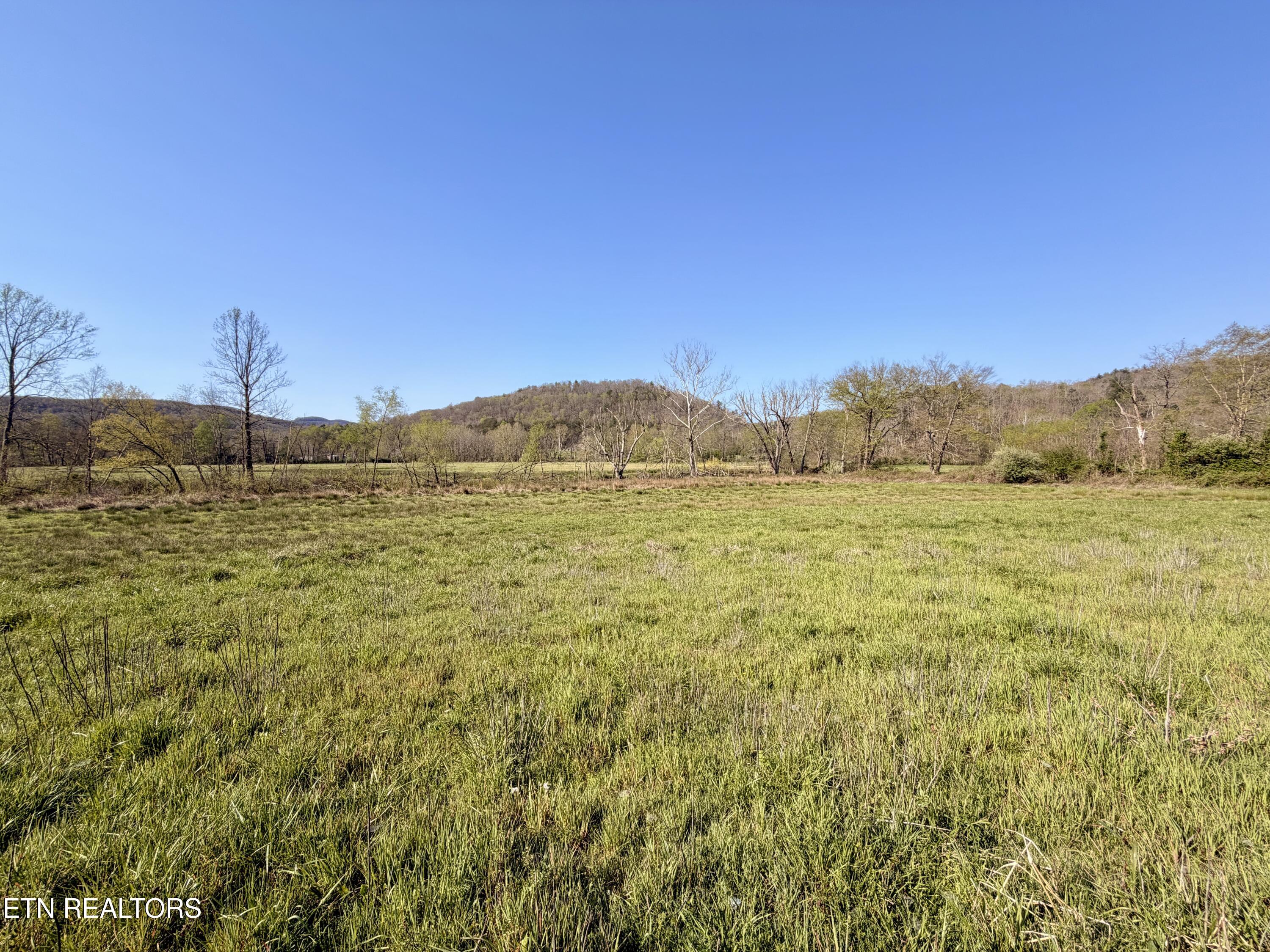 5640 Brimstone Road Robbins TN 37852