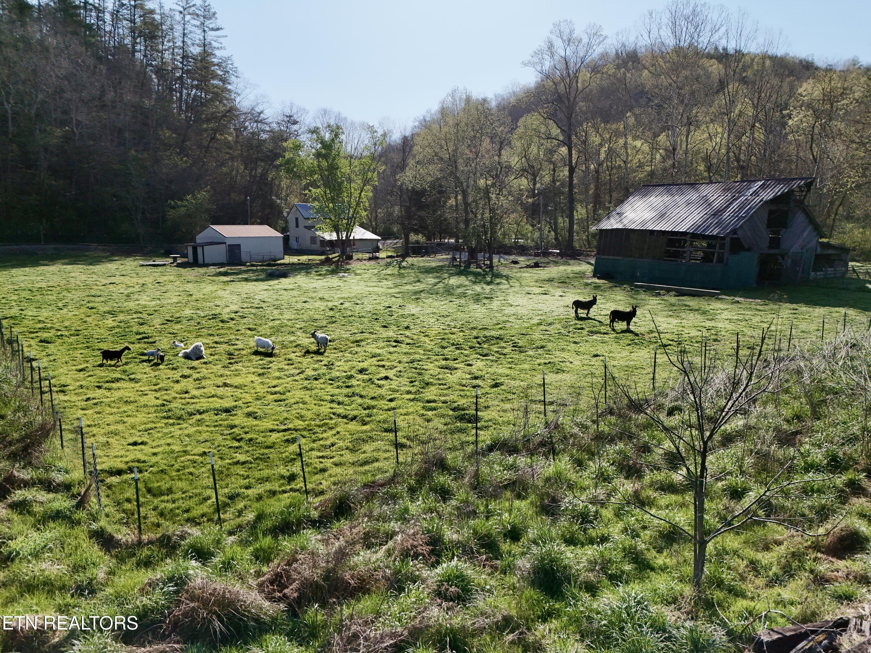 5640 Brimstone Road Robbins TN 37852