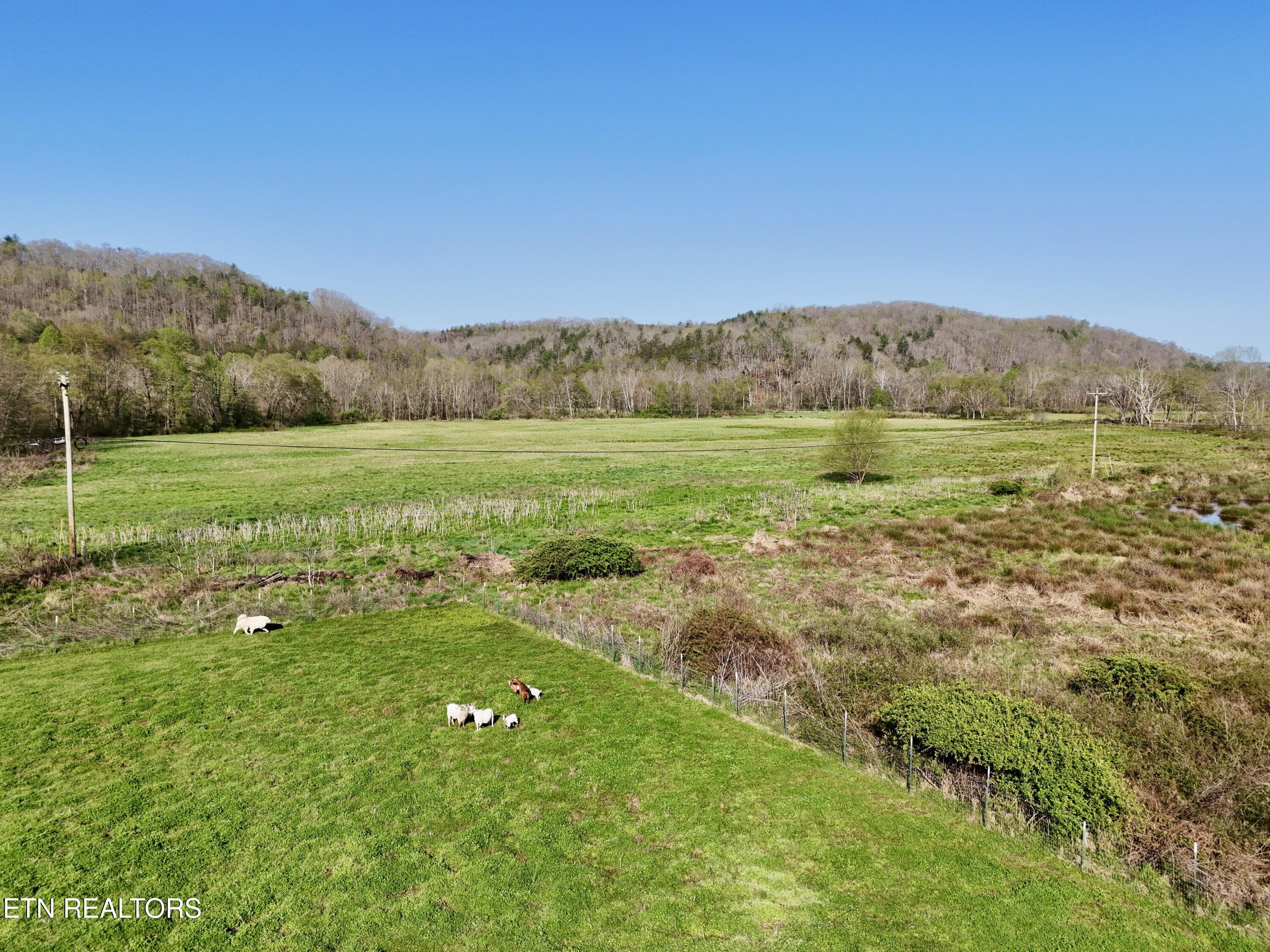 5640 Brimstone Road Robbins TN 37852