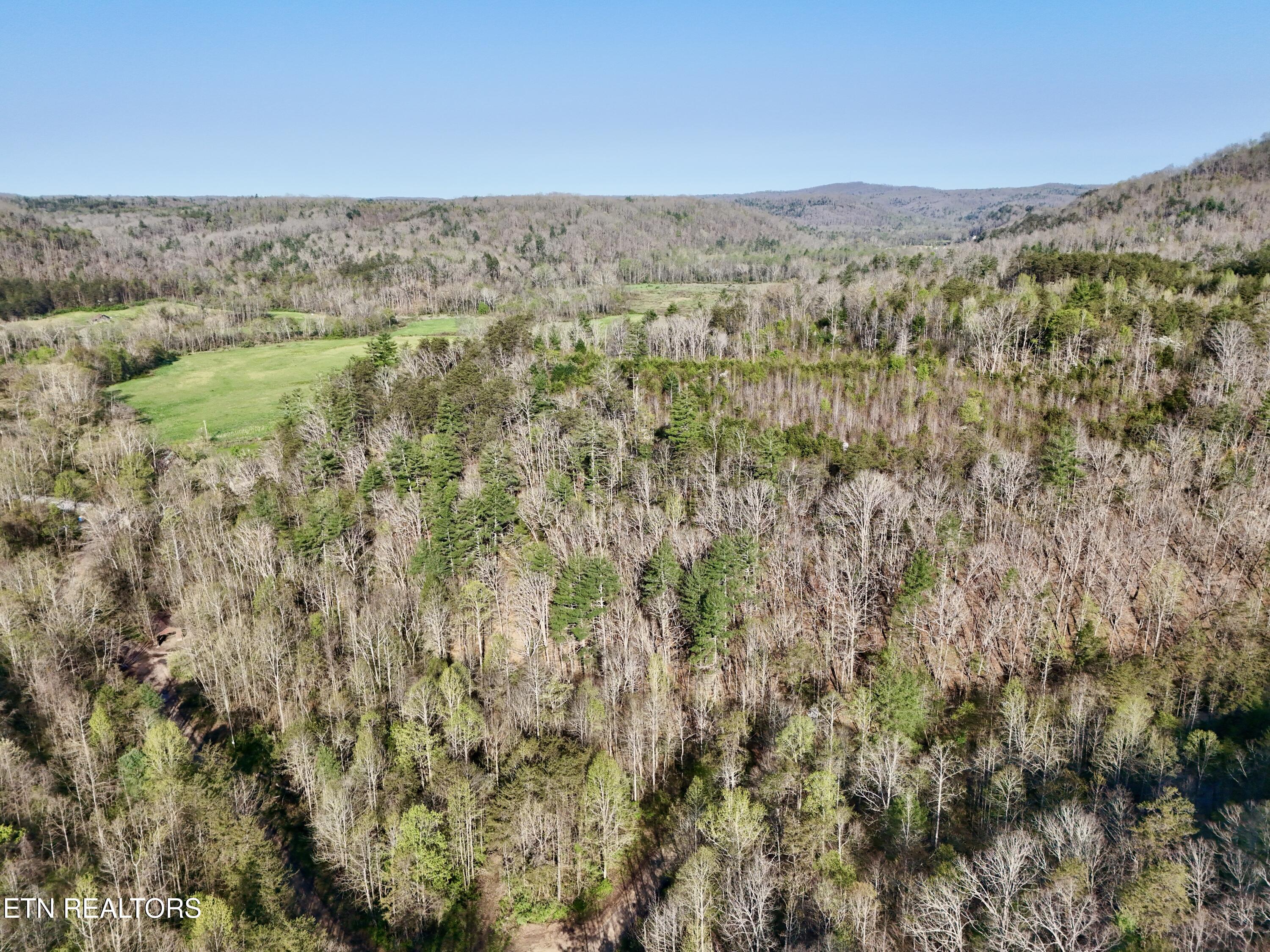 5640 Brimstone Road Robbins TN 37852