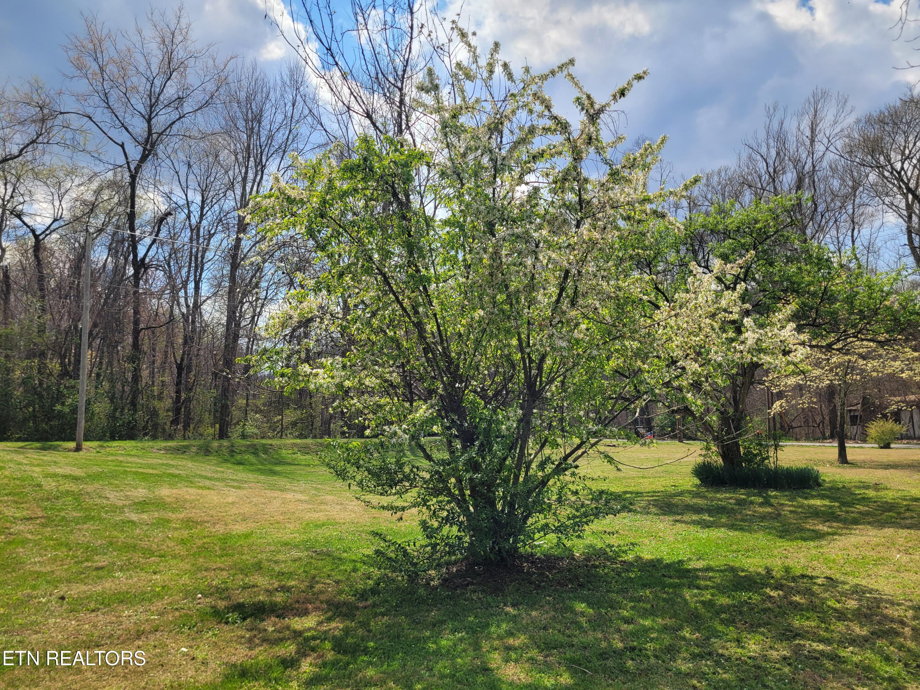 1395 Bluets Road Newport TN 37821