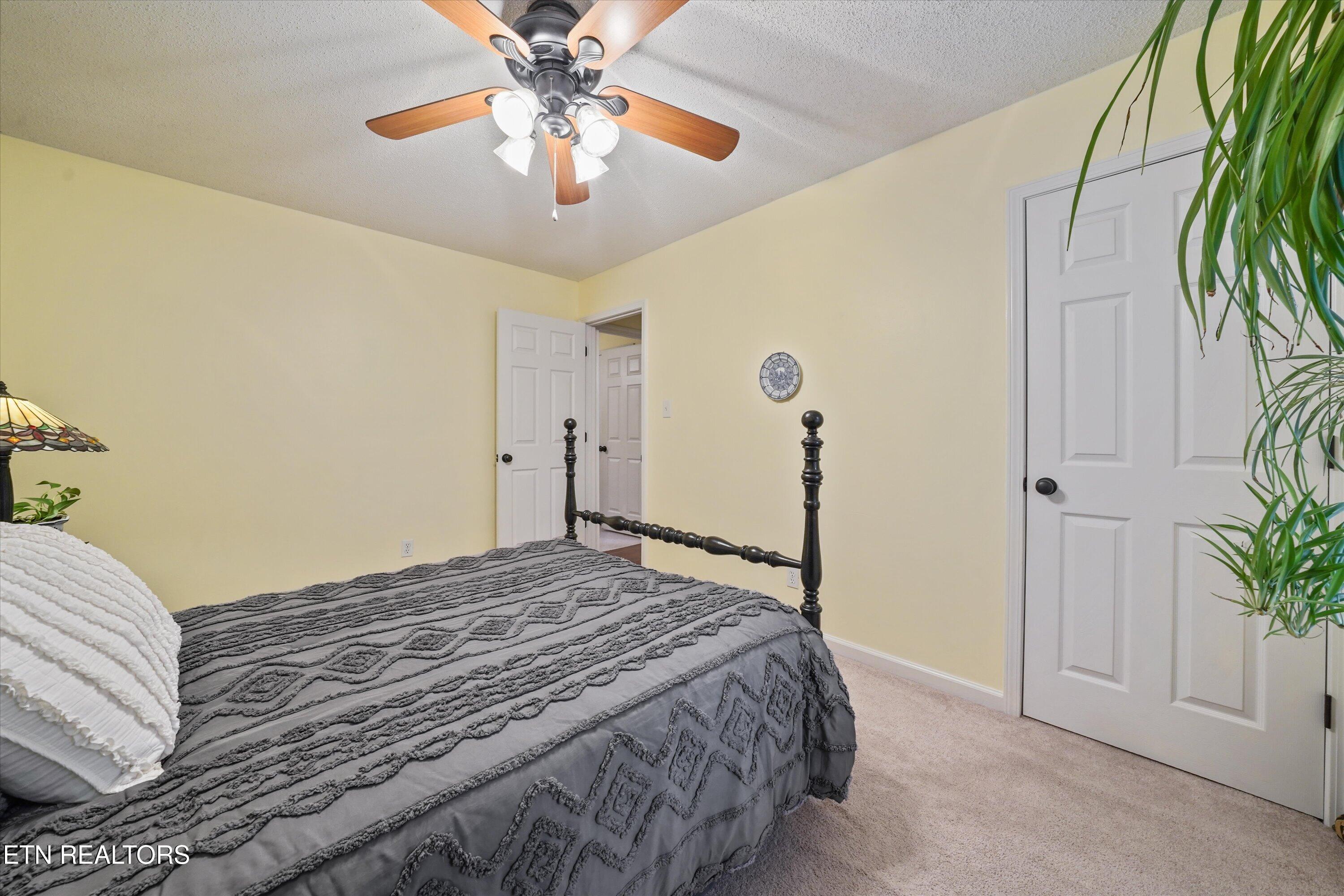 915 Danville Circle Knoxville TN 37923