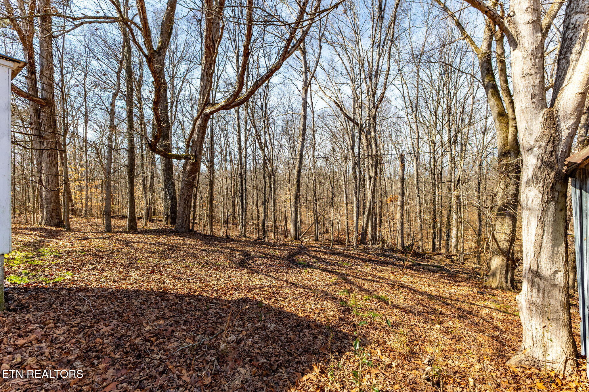515 Millers Chapel Road Greeneville TN 37745